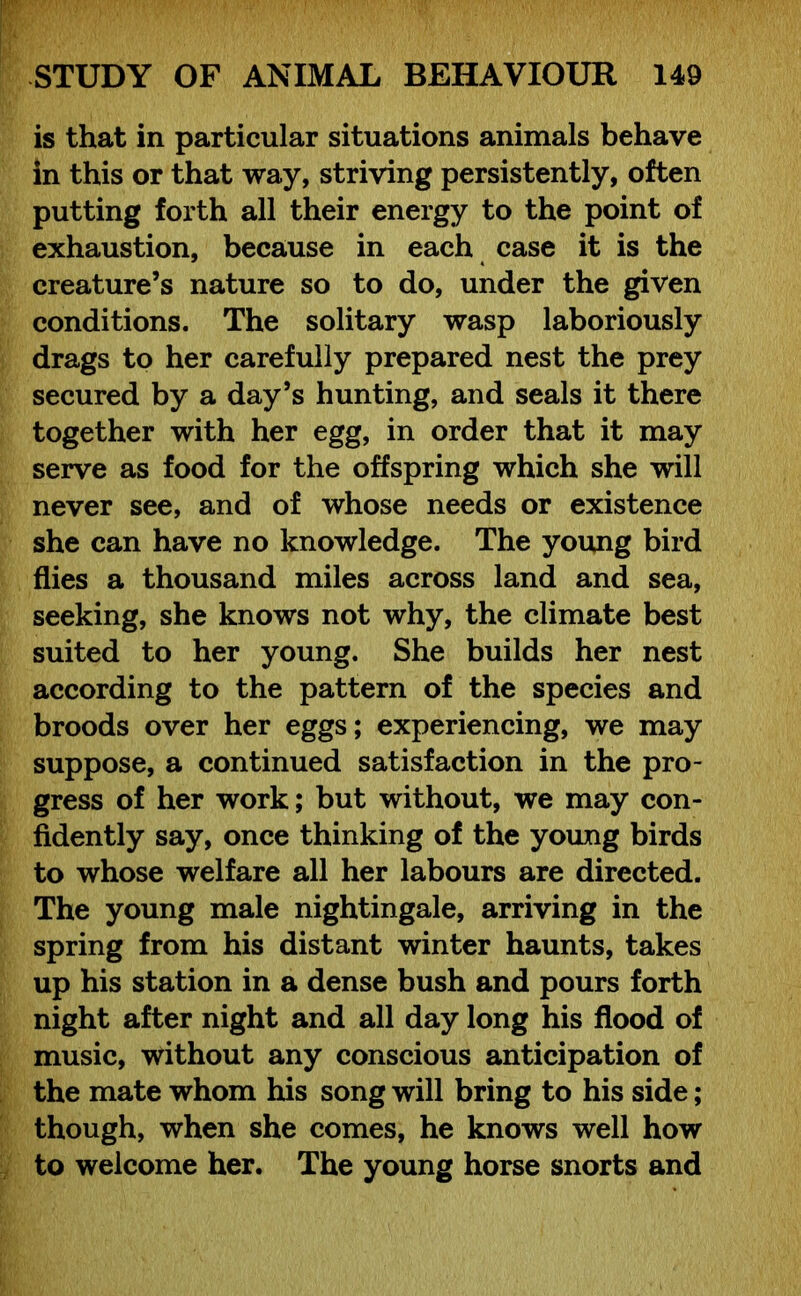 is that in particular situations animals behave in this or that way, striving persistently, often putting forth all their energy to the point of exhaustion, because in each case it is the creature’s nature so to do, under the given conditions. The solitary wasp laboriously drags to her carefully prepared nest the prey secured by a day’s hunting, and seals it there together with her egg, in order that it may serve as food for the offspring which she will never see, and of whose needs or existence she can have no knowledge. The young bird flies a thousand miles across land and sea, seeking, she knows not why, the climate best suited to her young. She builds her nest according to the pattern of the species and broods over her eggs; experiencing, we may suppose, a continued satisfaction in the pro- gress of her work; but without, we may con- fidently say, once thinking of the young birds to whose welfare all her labours are directed. The young male nightingale, arriving in the spring from his distant winter haunts, takes up his station in a dense bush and pours forth night after night and all day long his flood of music, without any conscious anticipation of the mate whom his song will bring to his side; though, when she comes, he knows well how to welcome her. The young horse snorts and