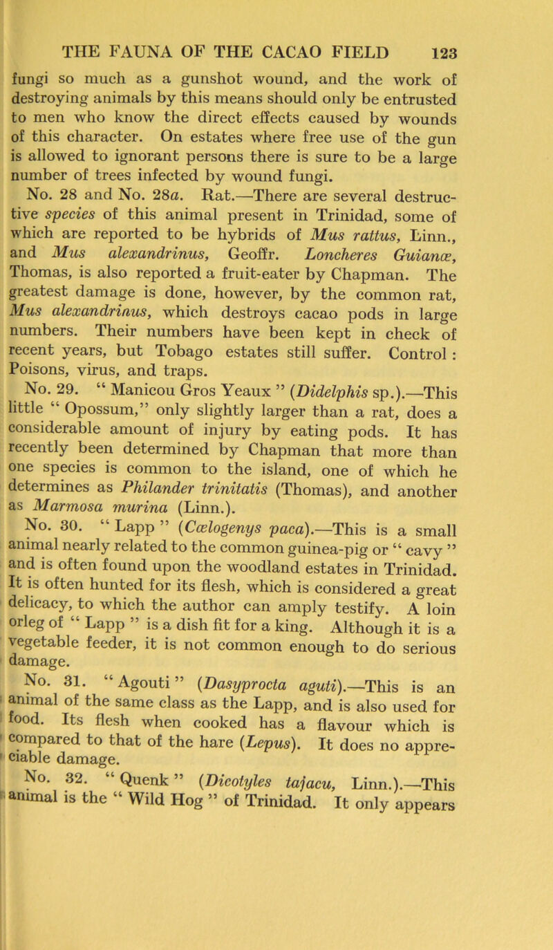 fungi so much as a gunshot wound, and the work of destroying animals by this means should only be entrusted to men who know the direct effects caused by wounds of this character. On estates where free use of the gun is allowed to ignorant persons there is sure to be a large number of trees infected by wound fungi. No. 28 and No. 28a. Rat.—There are several destruc- tive species of this animal present in Trinidad, some of which are reported to be hybrids of Mus rattus, Linn., and Mus alexandrinus, Geoffr. Loncheres Guianee, Thomas, is also reported a fruit-eater by Chapman. The greatest damage is done, however, by the common rat, Mus alexandrinus, which destroys cacao pods in large numbers. Their numbers have been kept in check of recent years, but Tobago estates still suffer. Control : Poisons, virus, and traps. No. 29. “ Manicou Gros Yeaux ” (Didelphis sp.).—This little “ Opossum,” only slightly larger than a rat, does a considerable amount of injury by eating pods. It has recently been determined by Chapman that more than one species is common to the island, one of which he determines as Philander trinitatis (Thomas), and another as Marmosa murina (Linn.). No. 30. “ Lapp ” (Ccelogenys paca).—This is a small animal nearly related to the common guinea-pig or “ cavy ” and is often found upon the woodland estates in Trinidad. It is often hunted for its flesh, which is considered a great delicacy, to which the author can amply testify. A loin orleg of “ Lapp ” is a dish fit for a king. Although it is a vegetable feeder, it is not common enough to do serious damage. No. 31. “Agouti” (Dasyprocta aguti).—This is an animal of the same class as the Lapp, and is also used for food. Its flesh when cooked has a flavour which is compared to that of the hare (Lepus). It does no appre- ciable damage. No. 32. “ Quenk ” (Dicotyles tajacu, Linn.).—This animal is the “ Wild Hog ” of Trinidad. It only appears