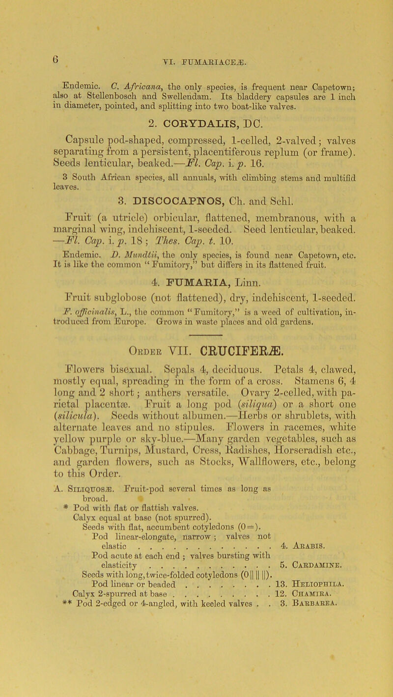 VI. PUMAEIACEiE. Endemic. C. Africana, the only species, is frequent near Capetown; also at Stellenbosch and Swelleridam. Its bladdery capsules are 1 inch in diameter, pointed, and sphtting into two boat-like valves. 2. CORYDALIS, DC. Capsule pod-sliaped, compressed, 1-celled, 2-valved; valves separating from a persistent, placentiferous replum (or frame). Seeds lenticular, beaked.—FI. Cap. i. p. 16. 3 South African species, all annuals, with climbing stems and multiCd leaves. 3. DISCOCAPWOS, Ch. and Scbl. Fruit (a utricle) orbicular, flattened, membranous, with a marginal wing, indeliiscent, 1-seeded. Seed lenticular, beaked. —FI. Cap. i. p. IS ; Thes. Cap. t. 10. Endemic. D. Mundtii, the only species, is found near Capetown, etc. It is like the common “ Fumitory,” but differs in its flattened fruit. 4-. FUMARIA, Linn. I'ruit subglobose (not flattened), dry, indehiscent, 1-seeded. IP. ojfficinalin, L., tlio common “Fumitory,” is a weed of cultivation, in- troduced froni Europe. Grows in waste places and old gardens. Order VII. CRUCIFERS. Flowers bisexual. Sepals 4, deciduous. Petals 4, clawed, mostly equal, spreading in the form of a cross. Stamens 6, 4 long and 2 short; anthers versatile. Ovary 2-celled, with pa- rietal placenta). Fruit a long pod {siliqua) or a short one (silicula). Seeds without albumen.—Herbs or shrublets, with alternate leaves and no stipules. Flowers in racemes, white yellow ])urple or sky-blue.—Many garden vegetables, such as Cabbage, Turnips, Mustard, Cress, Radishes, Horseradish etc., and garden flowers, such as Stocks, Wallflowers, etc., belong to this Order. A. Sii,iQTTOS.aE. Fruit-pod several times as long as broad. * Pod with flat or flattish valves. Calyx equal at base (not spurred). Seeds with flat, accumbent cotyledons (0 — ). Pod linear-elongate, narrow; valves not elastic 4. Arabis. Pod acute at each end ; valves bursting with elasticity 5. Cabdamine. Seeds with long,twice-folded cotyledons (0|11| ||). Pod hnear or beaded 13. Heliophila. Calyx 2-spurred at base 12. Chamiea. ** Pod 2-edged or 4-angled, with keeled valves . . 3. Barbabea.