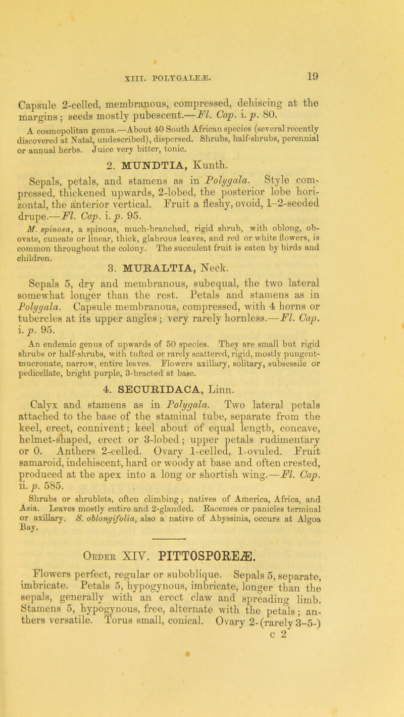 XIII. POLTGALEiE- Capsule 2-celled, membranous, compressed, dehiscing at the margins; seeds mostly pubescent.—FI. Cap. i. p. 80. A cosmopolitan genus.—About 40 South African species (several recently discovered at Natal, undescribed), dispersed. Shrubs, half-shrubs, perennial or annual herbs. Juice very bitter, tonic. 2. MUNDTIA, Kunth. Sepals, petals, and stamens as in Polygala. Style com- pressed, thickened upwards, 2-lobed, the posterior lobe hori- zontal, the anterior vertical. Pruit a fleshy, ovoid, 1-2-seeded drupe.—FI. Cap. i. p. 95. M. spinosa, a spinous, much-branched, rigid shrub, with oblong, ob- ovate, cuneate or linear, thick, glabrous leaves, and red or white flowers, is common throughout the colony. The succulent fruit is eaten by birds and cliildren. 3. MURALTIA, Neck. Sepals 5, dry and membranous, subequal, the two lateral somewhat longer than the rest. Petals and stamens as in Polygala. Capsule membranous, compressed, with 4 horns or tubercles at its upper angles; very rarely hornless.—FI. Cap, i. p. 95. An endemic genus of upwards of 50 species. They are small but rigid shrubs or half-shrubs, with tufted or rarely scattered, rigid, mostly pungent- mucronate, narrow, entire leaves. Flowers axillary, solitary, subsessile or pedicellate, bright purple, 3-bracted at base. 4. SECmilDACA, Linn. Calyx and stamens as in Polygala. Two lateral petals attached to the base of the staminal tube, separate from the keel, erect, connivent; keel about of equal length, concave, helmet-shaped, erect or 3-lobed; upper petals rudimentary or 0. Anthers 2-celled. Ovary 1-celled, 1-ovuled. Fruit samaroid, indehiscent, hard or woody at base and often crested, produced at the apex into a long or shortish wing.—FI. Cap. ii. p. 585. Shrubs or shrublets, often climbing; natives of America, Africa, and Asia. Leaves mostly entire and 2-glanded. Racemes or panicles terminal or axillary. S. oblongifolia, also a native of Abyssinia, occurs at Algoa Bay. Order XIV. PITTOSPOEE.®. Flowers perfect, regular or suboblique. Sepals 5, separate, imbricate. Petals 5, hypogynous, imbricate, longer than the sepals, generally with an erect claw and spreadiu limb. Stamens 5, hypogynous, free, alternate with the petals; an- thers versatile. Torus small, conical. Ovary 2-(rarely 3-5-) c 2