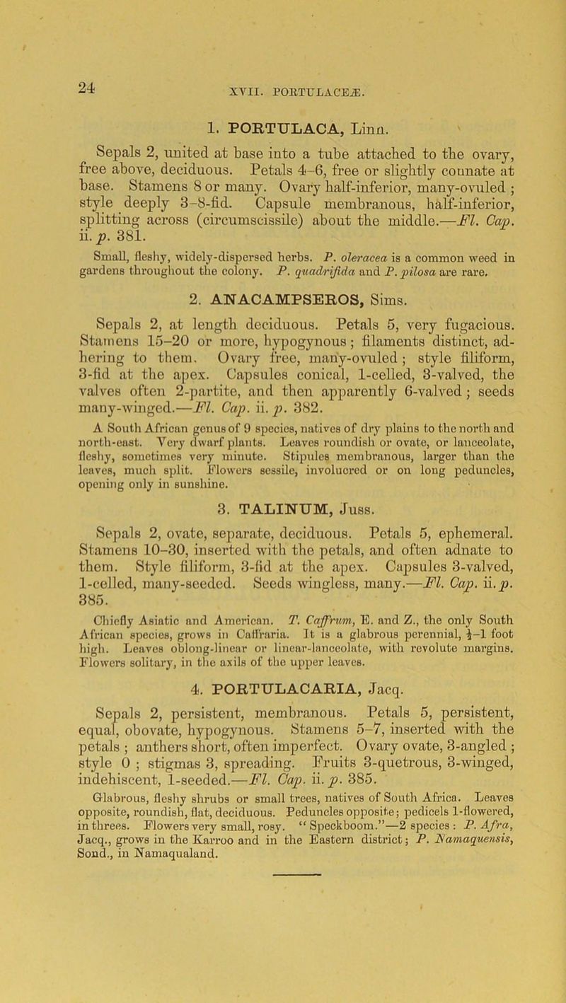 1. PORTULACA, Linn. Sepals 2, united at base into a tube attached to the ovary, free above, deciduous. Petals 4-6, free or slightly counate at base. Stamens 8 or many. Ovary half-inferior, many-ovuled ; style deeply 3-8-fid. Capsule membranous, half-inferior, splitting across (circumscissile) about the middle.—FI. Cap. ii. 381. Small, fleshy, widely-dispersed herbs. P. oleracea is a common weed in gardens throughout tiie colony. P. quadrijida and P.pilosa are rare. 2. ANACAMPSEROS, Sims. Sepals 2, at length deciduous. Petals 5, very fugacious. Stamens 15-20 or more, Itypogynous; filaments distinct, ad- hering to them. Ovary free, many-ovuled ; style filiform, 3-fid at the apex. Capsules conical, 1-celled, 3-valved, the valves often 2-partite, and then apparently 6-valved; seeds many-winged.—FI. Cap. ii. p. 382. A South African genus of 9 species, natives of dry plains to the north and north-east. Very dwarf plants. Leaves roundisli or ovate, or lanceolate, fleshy, sometimes very minute. Stipules membranous, larger than the leaves, much split. Flowers sessile, involucrod or on long peduncles, opening only in sunshine. 3. TALINUM, Juss. Sepals 2, ovate, separate, deciduous. Petals 5, ephemeral. Stamens 10-30, inserted with the petals, and often adnate to them. Style filiform, 3-fid at the apex. Capsules 3-valved, 1-celled, many-seeded. Seeds wingless, many.—FI. Cap. ii.y». 385. Chiefly Asiatic and American. T. Caffrum, E. and Z., the only South African species, grows in Calfraria. It is a glabrous perennial, 1-1 foot liigh. Leaves oblong-linear or linear-lanceolate, with revolute margins. Flowers solitary, in the axils of the upper leaves. 4. PORTULACARIA, Jacq. Sepals 2, persistent, membranous. Petals 5, persistent, equal, obovate, hypogynous. Stamens 5-7, inserted with the petals ; anthers sliort, often imperfect. Ovary ovate, 3-angled ; style 0 ; stigmas 3, spreading. Emits 3-quetrous, 3-winged, indehiscent, 1-seeded.—FI. Cap. \i. p. 385. Glabrous, fleshy shrubs or small trees, natives of South Africa. Leaves opposite, roundish, flat, deciduous. Peduncles opposite; pedicels 1-flowered, in threes. Flowers very small, rosy. “ Speokboom.”—2 species : P. Afra, Jacq., grows in the Kai’roo and in the Eastern district; P. JSamaquensis, Sond., in Namaqualand.