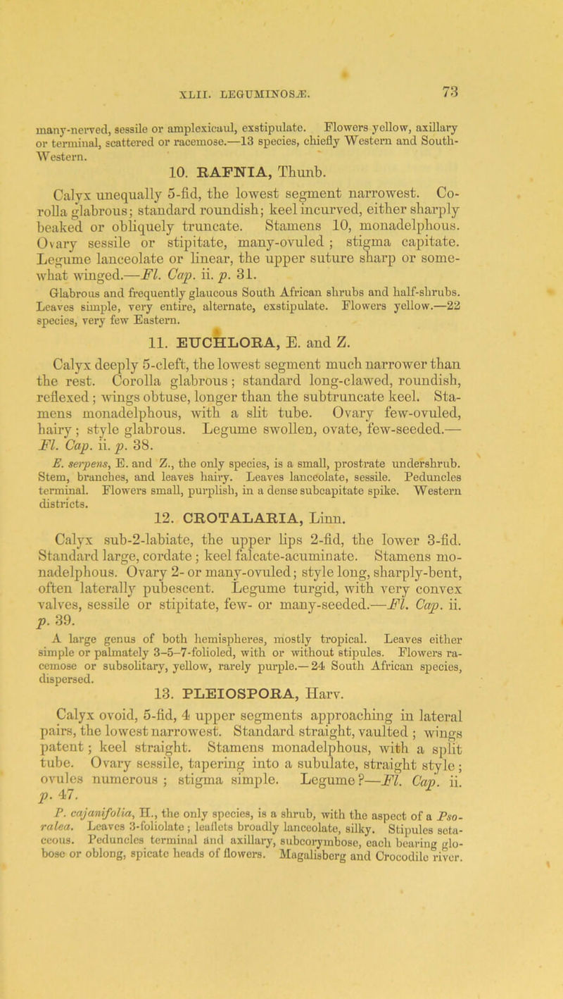 many-nevvecl, sessile or amplesicaul, exstipulate. Flowers yellow, axillary or terminal, scattered or racemose.—13 species, chiefly Western and South- Western. 10. RAFNIA, Thunb. Calyx unequally 5-fid, the lowest segment narrowest. Co- rolla glabrous; standard roundish; keel incurved, either sharply beaked or obliquely truncate. Stamens 10, monadelpbous. Ovary sessile or stipitate, many-ovuled ; stigma capitate. Legume lanceolate or linear, the upper suture sharp or some- what winged.—FI. Gap. ii. p. 31. Glabrous and fi-equently glaucous South African shrubs and half-shrubs. Leaves simple, very entu’e, alternate, exstipulate. Flowers yellow.—22 species, very few Eastern. 11. EUCHLORA, E. and Z. Calyx deeply 5-cleft, the lowest segment much narrower than the rest. Corolla glabrous; standard long-clawed, roundish, refiexed; tvings obtuse, longer than the subtruncate keel. Sta- mens monadelpbous, with a slit tube. Ovary few-ovuled, hairy; style glabrous. Legume swollen, ovate, few-seeded.— FI. Cap. ii. p. 38. E. serpens, E. and Z., the only species, is a small, prostrate undershrub. Stem, branches, and leaves hairy. Leaves lanceolate, sessile. Peduncles terminal. Flowers small, purplish, in a dense subcapitate spike. Western districts. 12. CROTALARIA, Linn. Calyx suh-2-lahiate, the upper bps 2-fid, the lower 3-fid. Standard large, cordate; keel falcate-acuminate. Stamens mo- nadelphous. Ovary 2- or many-ovuled; style long, sharply-bent, often laterally pubescent. Legume turgid, with very convex valves, sessile or stipitate, few- or many-seeded.—FI. Cap. ii. p. 39. A large genus of both hemispheres, mostly tropical. Leaves either simple or pahnately 3-5-7-folioled, with or without stipules. Flowers ra- cemose or subsohtary, yellow, rarely purple.— 24 South African species, dispersed. 13. PLEIOSPORA, Harv. Calyx ovoid, 5-fid, 4 upper segments approachmg in lateral pairs, the lowest narrowest. Standard straight, vaulted ; wings patent; keel straight. Stamens monadelpbous, with a split tube. Ovary sessile, tapering into a subulate, straight style; ovules numerous ; stigma sim^ole. Legume?—FI. Cap ii p. 47. P. cajanifolia, IT., the only species, is a shrub, with the aspect of a Pso- ralea. Leaves 3-foliolate; leaflets broadly lanceolate, silky. Stipules seta- ceous. Peduncles terminal iind axillary, subcorymbose, each bearing glo- bose or oblong, spicatc heads of flowers. Magalisberg and Crocodile river.