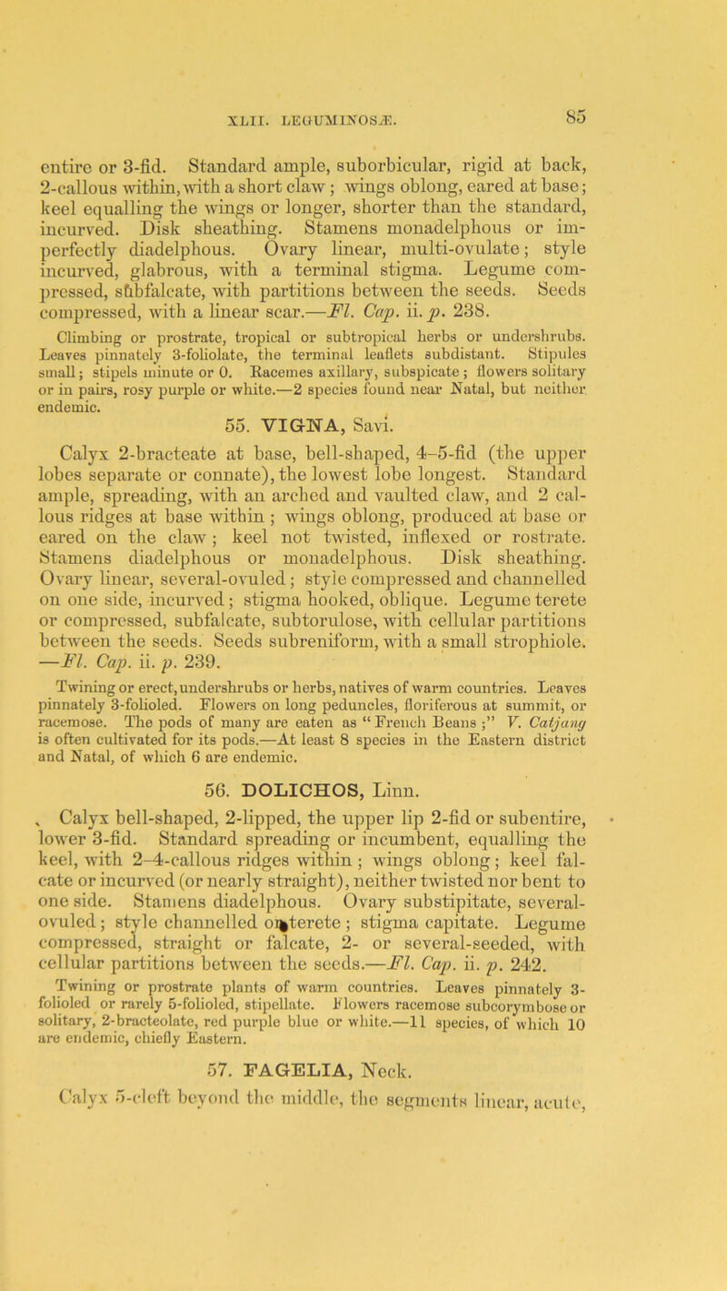 entire or 3-fid. Standard ample, suborbicular, rigid at bac'k, 2-callous within, Avith a short claw; wings oblong, eared at base; keel equalling the wings or longer, shorter than the standard, incurved. Disk sheathing. Stamens monadelphons or im- perfectly diadelphous. Ovary linear, multi-ovulate; style incurved, glabrous, with a terminal stigma. Legume com- pressed, shbfalcate, with partitions between the seeds. Seeds compressed, with a linear scar.—FI. Cap. ii. p. 238. Climbing or prostrate, tropical or subtropical herbs or undershrubs. Leaves pinnatcly 3-foliolate, the terminal leaflets subdistant. Stipules small; stipels minute or 0. Eaceines axillary, subspicate ; flowers solitary or in pahs, rosy purple or white.—2 species found near Natal, but neither endemic. 55. VIGNA, Savi. Calyx 2-braeteate at base, bell-shaped, 4-5-fid (the upper lobes separate or connate), the lowest lobe longest. Standard ample, spreading, with an arched and vaulted claw, and 2 cal- lous ridges at base within ; wings oblong, produced at base or eared on the claw; keel not twisted, indexed or rostrate. Stamens diadelphous or monadelphous. Disk sheathing. Ovary buear, several-ovuled; style compressed and channelled on one side, incurved; stigma hooked, oblique. Legume terete or compressed, subfalcate, subtorulose, with cellular partitions between the seeds. Seeds subreniform, with a small strophiole. —FI. Cap. ii. p. 239. Twining or erect, undershrubs or herbs, natives of warm countries. Leaves pinnately 3-folioled. Flowers on long peduncles, floriferous at summit, or racemose. The pods of many are eaten as “ French Beans V. Catjany is often cultivated for its pods.—At least 8 species in the Eastern district and Natal, of which 6 are endemic. 56. DOLICHOS, Linn. , Calyx bell-shaped, 2-lipped, the upper lip 2-fid or subentire, lower 3-fid. Standard spreading or incumbent, equalling the keel, with 2-4-eallous ridges within ; wings oblong; keel fal- cate or incurved (or nearly straight), neither twisted nor bent to one side. Stamens diadelphous. Ovary substipitate, several- ovuled ; style channelled onterete ; stigma capitate. Legume compressed, straight or falcate, 2- or several-seeded, with cellular partitions between the seeds.—FI. Cap. ii. p. 242. Twining or prostrate plants of warm countries. Leaves pinnately 3- folioled or rarely 5-foliolcd, stipellate. Flowers racemose subcorymboseor solitary, 2-bracteolate, red purple blue or white.—11 species, of which 10 are endemic, chiefly Eastern. 57. FAGELIA, Neck. C^alyx 5-clcft beyond the middle, the segments linear, acute.