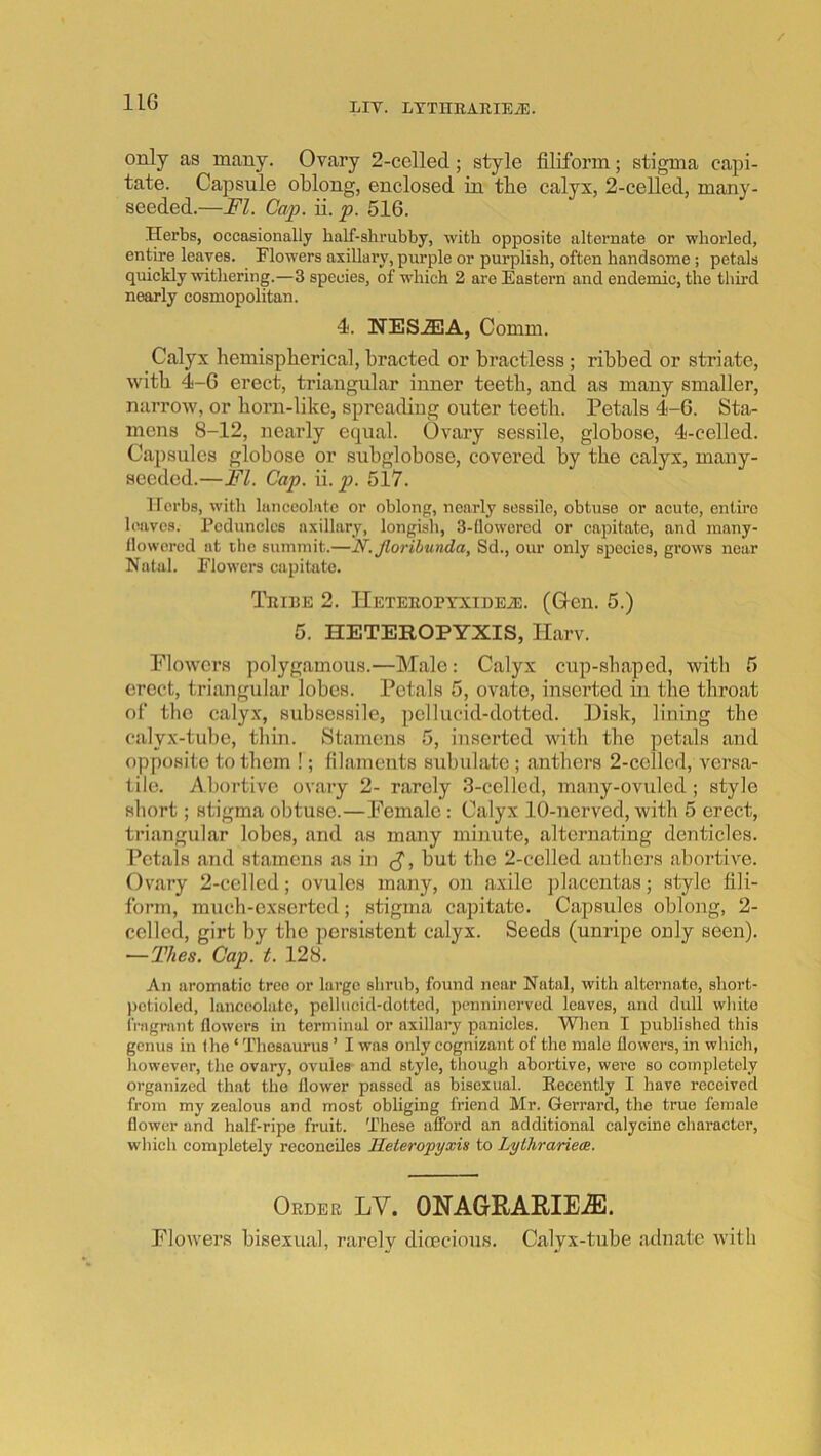 / H-G Liv. LTTHBAKIEiE. only as many. Ovary 2-celled; style filiform; stigma capi- tate. Capsule oblong, enclosed in tbe calyx, 2-celled, many- seeded.—FI. Cap. ii. p. 516. Herbs, occasionally half-shrubby, with opposite alternate or whorled, entire leaves. Flowers axillary, purple or purplish, often handsome; petals quickly withering.—3 species, of which 2 are Eastern and endemic, the third nearly cosmopolitan. 4. NES-2EA, Comm. Calyx hemispherical, bracted or bractless; ribbed or striate, with 4-6 erect, triangular inner teeth, and as many smaller, narrow, or horn-like, spreading outer teeth. Petals 4-6. Sta- mens 8-12, nearly equal. Ovary sessile, globose, 4-celled. Capsules globose or subglobose, covered by the calyx, many- aeeded.—FI. Cap. ii. p. 517. Herbs, with lanceolate or oblong, nearly sessile, obtuse or acute, entire leaves. Peduncles axillary, longish, 3-lloworcd or capitate, and many- flowcrcd at the summit.—N. Jloribunda, Sd., our only species, grows near Natal. Flowers capitate. Tribe 2. IlETEEOPYXinEiE. (Oen. 5.) 5. HETEROPYXIS, Harv. Flowers polygamous.—Male: Calyx cup-shaped, with 5 erect, triangular lobes. Petals 5, ovate, inserted in the throat of the caly.x, subsessile, pellucid-dotted. Disk, lining the calyx-tube, thin. Stamens 5, inserted with the petals and opposite to them !; filaments subulate ; anthers 2-celled, versa- tile. Abortive ovary 2- r.arcly 3-cellcd, many-ovuled; style short; stigma obtuse.—Female: Calyx 10-nerved, with 5 erect, triangular lobes, and as many minute, alternating denticles. Petals and stamens as in but the 2-cclled anthers abortive. Ovary 2-celled; ovules many, on axile ])lacentas; style fili- form, much-exserted; stigma capitate. Capsules oblong, 2- celled, girt by the persistent calyx. Seeds (unripe only seen). —Thes. Cap. t. 128. An aromatic tree or large shrub, found near Natal, with alternate, short- ))ctioled, lanceolate, pellucid-dotted, penninerved leaves, and dull wliite iViigrant flowers in terminal or axillary panicles. Wlien I published this genus in the ‘ Thesaurus ’ I was only cognizant of the male flowers, in which, however, the ovary, ovules- and style, though abortive, wei-e so completely organized that the flower passed as bisexual. Recently I have received from my zealous and most obliging friend Mr. Gerrard, the true female flower and half-ripe fruit. These afford an additional calycine character, which completely reconciles Ileteropyxis to Lythrariece. Order LV. ONAGRARIE.^. Flowers bisexual, rarely dioecious. Calyx-tube adnate with