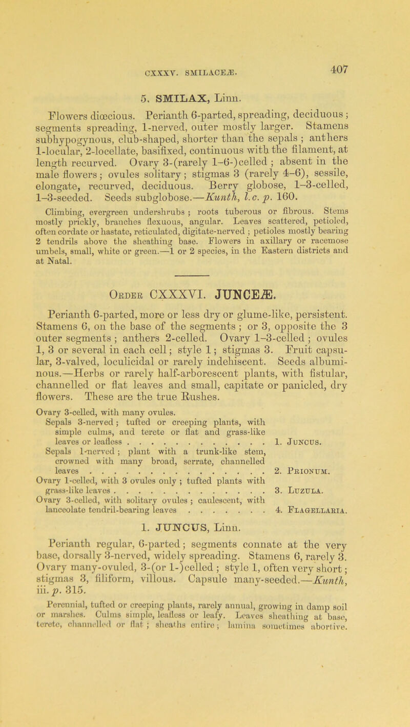 5. SMIL AX, Linu. Flowers dioecious. Perianth 6-parted, spreading, deciduous ; segments spreading, 1-nerved, outer mostly larger. Stamens subhypogynous, club-shaped, shorter than the sepals ; anthers 1-locular, 2-locellate, basifixed, continuons with the filament, at length recurved. Ovary 3-(rarely 1-6-) celled ; absent in the male flowers; ovules solitary; stigmas 3 (rarely 4-6), sessile, elongate, recurved, deciduous. Berry globose, 1-3-celled, 1-3-seeded. Seeds subglobose.—Kunth, l.c. p. 160. Climbing, evergreen undershrubs ; roots tuberous or fibrous. Stems mostly prickly, branches flexuous, angular. Leaves scattered, petioled, often cordate or hastate, reticulated, digitate-nerved ; petioles mostly beariug 2 tendrils above the sheathing base. Flowers in axillary or racemose umbels, small, white or green.—1 or 2 species, in the Eastern districts and at Natal. Oedee CXXXVI. JUNCE.®. Perianth 6-parted, more or less dry or glume-like, persistent. Stamens 6, on the base of the segments ; or 3, opposite the 3 outer segments ; anthers 2-celled. Ovary 1-3-celled ; ovules 1, 3 or several in each cell; style 1; stigmas 3. Fruit capsu- lar, 3-valved, loculicidal or rarely indehiseent. Seeds albumi- nous.—Herbs or rarely half-arborescent plants, with fistular, channelled or flat leaves and small, capitate or panicled, dry flowers. These are the true Bushes. Ovary 3-ceUed, with many ovules. Sepals 3-nerved; tufted or creeping plants, with simple culms, and terete or flat and grass-like leaves or leafless 1. JuNCUS. Sepals Imerved; plant with a trunk-like stem, crowned with many broad, serrate, channelled leaves 2. Peionum. Ovary 1-celled, with 3 ovules only ; tufted plants with gniss-like leaves 3. Luzula. Ovary 3-celled, with solitary ovules ; caulescent, with lanceolate tendril-bearing leaves 4. Flagellaeia. 1. JUNCUS, Linn. Perianth regular, 6-parted; segments connate at the very base, dorsally 3-nerved, widely spreading. Stamens 6, rarely 3. Ovary many-ovuled, 3-(or l-)celled ; style 1, often very short; stigmas 3, filiform, villous. Capsule many-seeded.— iii. p. 315. Perennial, tufted or creeping plants, rarely annual, growing in damp soil or marshes. Culms simple, leafless or leafy. Leaves slicuthing at base!, terete, eliannelled or flat ; slieaths entire; lamina soiuetiinos aborlive!