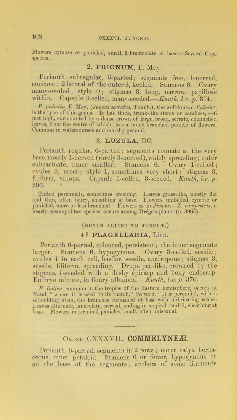 CXXXVI. JUXCEiE. Flowers cymose or panicled, small, 2-bracteolatc at base.—Several Cape speeies. 2. PRIONUM, E. Mey. Perianth subregular, 6-parted; segments free, 1-nerved, concave ; 2 lateral of the outer 3, keeled. Stamens 6. Ovary many-ovuled; style 0; stigmas 3, long, narrow, papillose within. Capsule 3-celled, many-seeded.—Kunth, l.c. f. 314. P. palmita, E. Mey. {Juncus serratns, Tliunb.), the well-known Palmiet, is the tyjie of this genus. It has thiek, trunk-like stems or eaudiees, 4-6 feet liigh, surmounted by a dense erovvn of large, broad, serrate, cbannelled leaves, from tlie centre of winch rises a much-branched panicle of flowers. Common in watercourses and marslty ground. 3. LUZULA, DC. Perianth regular, G-parted ; segments connate at the very base,mostly 1-nerved (rarely 3-nerved),widely spreading; outer subcarinate, inner smaller. Stamens 6. Ovary 1-celled ; ovules 3, erect; style 1, sometimes very short; stigmas 3, filiform, villous. Capsule 1-celled, 3-seeded.—Kunth, l.c.2^- 290. Tufted perennials, sometimes creeping. Leaves grass-like, mostly flat and thin, often iiniry, sheathing at base. Flowers umbelled, cymose or panicled, more or less branched. Flowers as in Juncus.—L. campestris, a nearly cosmopolitan species, occurs among Dr6ge’s plants (n. 3963). (OENUS ALLIED TO .TUNCEiE.) 4 ? FLAGELLARIA, Linn. Perianth G-parted, coloured, persistent; the inner segments larger. Stamens G, hypogynous. Ovary 3-celled, sessile; ovules 1 in each cell, basilar, sessile, anatropous; stigmas 3, sessile, filiform, spreading. Drupe pea-like, crowned by tbe stigmas, 1-seeded, with a fleshy epicarp and bony endocarp. Embryo minute, in floury albumen.—Kunth, l.c. p. 370. F. Indica, common in the tropics of the Eastern hemisphere, occurs at Natal, “ where it is used to fix thatch,” Oerrard. It is perennial, with a scrambling stem, the branches furnished at base with imbricatmg scales. Leaves alternate, lanceolate, nerved, ending in a spiral tendril, sheathing at base. Flowers in terminal panicles,'small, often unisexual. Okdek cxxxvii. COMMELYNE^. Perianth G-parted, segments in 2 rows ; outer calyx herba- ceous, inner petaloid. Stamens 6 or fewer, hypogynous or an the base of the segments; anthers of some filaments