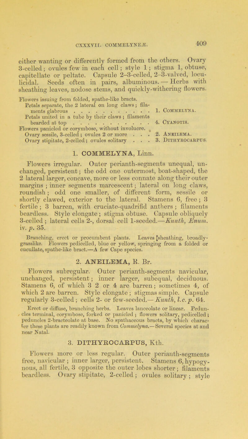 either wanting or tlifterently formed from the others. Ovary 3-celled; ovules few in each cell; style 1; stigma 1, obtuse, capitellate or peltate. Capsule 2-3-celled, 2-3-valved, locu- licidal. Seeds often in pairs, albuminous. — Herbs with sheathing leaves, nodose stems, and quickly-withering flowers. Flowers issuing from folded, spathe-like bracts. Petals separate, the 2 lateral on long claws; fila- ments glabrous Petals united in a tube by their claws ; filaments bearded at top Flowers panicled or corymbose, without involucre. Ovary sessile, 3-celled ; ovules 2 or more . . . Ovaiy stipitate, 2-ceUed; ovules solitary . . . 1. COMMELYNA, Linn. Flowers irregular. Outer perianth-segments unequal, un- changed, persistent; the odd one outermost, boat-shaped, the 2 lateral larger, concave, more or less connate along their outer margins ; inner segments marcescent; lateral on long claws, roundish; odd one smaller, of different form, sessile or shortly clawed, exterior to the lateral. Stamens 6, free; 3 fertile ; 3 barren, with cruciate-quadrifid anthers ; filaments beardless. Style elongate ; stigma obtuse. Capsule obliquely 3-celled ; lateral ceDs 2-, dorsal cell 1-seeded.—Kunth, Enum. iv. p. 35. Branching, erect or procumbent plants. Leaves [sheathing, broadly- grasslike. idowers pedicelled, blue or yellow, springing from a folded or cucullate, spathe-hke bract.—A few Cape species. 2. ANEILEMA, K. Br. Flowers subregular. Outer perianth-segments navicular, unchanged, persistent; inner larger, subequal, deciduous. Stamens 6, of which 3 2 or 4 are barren; sometimes 4, of which 2 are barren. Style elongate ; stigmas simple. Capsule regularly 3-celled; cells 2- or few-seeded.— Kunth, l.c.p. 64. Erect or diffuse, branching herbs. Leaves lanceolate or linear. Pedun- / cles terminal, corymbose, forked or panicled ; flowers solitary, pedicelled; peduncles 2-bracteolatc at base. No spatliaceous bracts, by which charac- ter these plants are readily known from ObwOTefyna.—Several species at and near Natal. 1. COMMELYNA. 4. Cyanotis. 2. Aneilema. 3. Dithyeocaepus. 3. DITHYROCARPUS, Kth. Flowers more or less regular. Outer pci'ianth-sogments free, navicular ; inner larger, persistent. Stamens 6, hypogy- nous, all fertile, 3 opposite the outer lobes shorter; filaments beardless. Ovary stipitate, 2-celled; ovules solitary; style