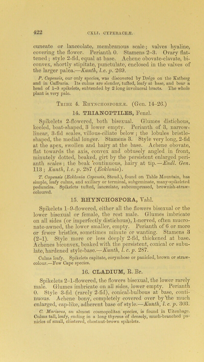 cuneate or lanceolate, membranous scale; valves hyaline, covering the flower. Perianth 0. Stamens 2-3. Ovary flat- tened ; style 2-fid, equal at base. Achene ohovate-clavate, bi- convex, shortly stipitate, punctulate, enclosed in the valves of the larger palea.—Kunth, l.c. p. 269. P. Capensis, our only species, was discovered by Drege on the Katberg and in Caffraria. Its culms are slender, tufted, leafy at base, and bear a head of 1-3 spikelets, subtended by 2 long involucral bracts. The whole plant is very pale. Tribe 4. EiiYNCiiosPOREiE. (G-en. 14-26.) 14. TRIANOPTILES, Penzl. Spikelets 2-flowcrcd, both bisexual. Grlumes distichous, keeled, boat-shaped, 3 lower empty. Periauth of 3, narrow- linear, 3-fld scales, villous-ciliato below; the lobules bristle- 8ha])ed, the medial longer. Stamens 3. Style very long, 2-fid at the apex, swollen and hair}'- at the base. Acliene obovate, flat towards the axis, convex and obtusely angled in front, minutely dotted, beaked, girt by the persistent enlarged peri- anth scales ; the beak continuous, hairy at tip.—Endl. Oen. 113; Kunth, l.c, p. 287 {Ecklonia). T. Capensis {Eoklonia Capensis, Stoud.), found on Table Mountain, has simple, leafy culms, and axillary or terminal, subgeminate, many-spikelotcd peduncles. Spikelets tufted, lanceolate, subcompressed, brownish-straw- coloured. 15. RHYNCHOSPOIIA, Vahl. Spikelets 1-9-flowered, either all the flowers bisexual or the lower bisexual or female, the rest male. Grlumes imbricate on all sides (or imperfectly distichous), 1-nerved, often mucro- natc-awued, the lower smaller, empty. Perianth of 6 or more or fewer bristles, sometimes minute or wanting. Stamens 3 (2-1). Stylo more or less deeply 2-fid, thickened at base. Achenes biconvex, beaked with the persistent, conical or subu- late, hardened style-base.—Kunth, 1. c. p. 287. Culms leafy. Spikelets capitate, corymbose or pauicled, brown or straw- colour.—Few Cape species. 16. CLADIUM, E. Br. Spikelets 2-1-flowered, the flowers bisexual, the lower rarely male. Glumes imbricate on all sides, lower empty. Perianth 0. Style 3-fid (rarely 2-fid), conical-bulbous at base, conti- nuous. Achene bony, completely covered over by‘the much enlarged, cap-like, adherent base of style.—Kunth, l.c. p. 303. C. Mariscus, an almost cosmopolitan species, is found in Uitenliagc. Culms tall, leafy, ending in a long thyrsus of densely, much-branched pa- nicles of small, clustered, chestnut-brown spikelets.
