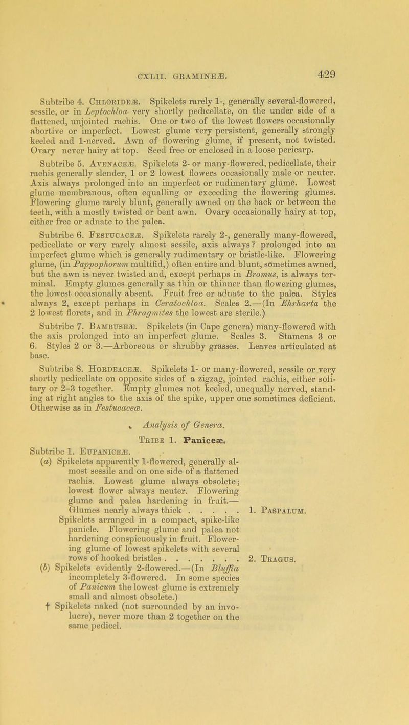 Subtribe 4. CnLOBiDEiE. Spikelcts rarely 1-, generally several-flowered, sessile, or in Leptochloa very shortly pedicellate, on the under side of a flattened, unjointed raehis. One or two of the lowest flowers occasionally abortive or imperfect. Lowest glume very persistent, generally strongly keeled and 1-nerved. Awn of flowering glume, if present, not twisted. Ovary never hairy at'top. Seed free or enclosed in a loose pericarp. Subtribe 5. AvenacejE. Spikelets 2- or many-flowered, pedicellate, their raehis generally slender, 1 or 2 lowest flowers occasionally male or neuter. Axis always prolonged into an imperfect or rudimentary glume. Lowest glume membranous, often equalling or exceeding the flowering glumes. Plowering glume rarely blunt, generally awned on the back or between the teeth, with a mostly twisted or bent awn. Ovary occasionally hairy at top, either free or adnate to the palea. Subtribe 6. Festucacea!. Spikelets rarely 2-, generally many-flowered, pedicellate or very rarely almost sessile, axis always ? prolonged into an imperfect glume which is generally rudimentary or bristle-like. Flowering glume, (in Pappophomm multifid,) often entu’e and blunt, sometimes awned, but the awn is never twisted and, except perhaps in Bromus, is always ter- minal. Empty glumes generally as tliin or thinner than flowering glumes, the lowest occasionally absent. Fruit free or adnate to the palea. Styles always 2, except perhaps in Ceratochloa. Scales 2.—(In Ehrharta the 2 lowest florets, and in Phragmiies the lowest are sterile.) Subtribe 7. BAMBUSEiE. Spikelets (in Cape genera) many-flowered with the axis prolonged into an imperfect glume. Scales 3. Stamens 3 or 6. Styles 2 or 3.—Arboreous or shrubby grasses. Leaves articulated at base. Subtribe 8. HoEDEACEa:. Spikelets 1- or many-flowered, sessile or very shortly pedicellate on opposite sides of a zigzag, jointed raehis, either soli- tary or 2-3 together. Empty glumes not keeled, unequally nerved, stand- ing at right angles to the axis of the spike, upper one sometimes deficient. Otherwise as in FestucacecB. i Analysis of Genera. Teibe 1. Panicese. Subtribe 1. EupaniceA!. (a) Spikelets apparently 1-flowered, generally al- most sessile and on one side of a flattened raehis. Lowest glume always obsolete; lowest flower always neuter. Flowering glume and palea hardening in fruit.— Glumes nearly always thick 1. Paspalum. Spikelets arranged in a compact, spike-like panicle. Flowering glume and palea not hardening conspicuously in fruit. Flower- ing glume of lowest spikelets with several rows of hooked bristles 2. TiiAaus. (J) Spikelets evidently 2-flowered.—(In BluJJia incompletely 3-flowered. In some species of Panicum the lowest glume is extremely small and almost obsolete.) t Spikelets naked (not surrounded by an invo- lucre), never more than 2 together on the same pedicel.