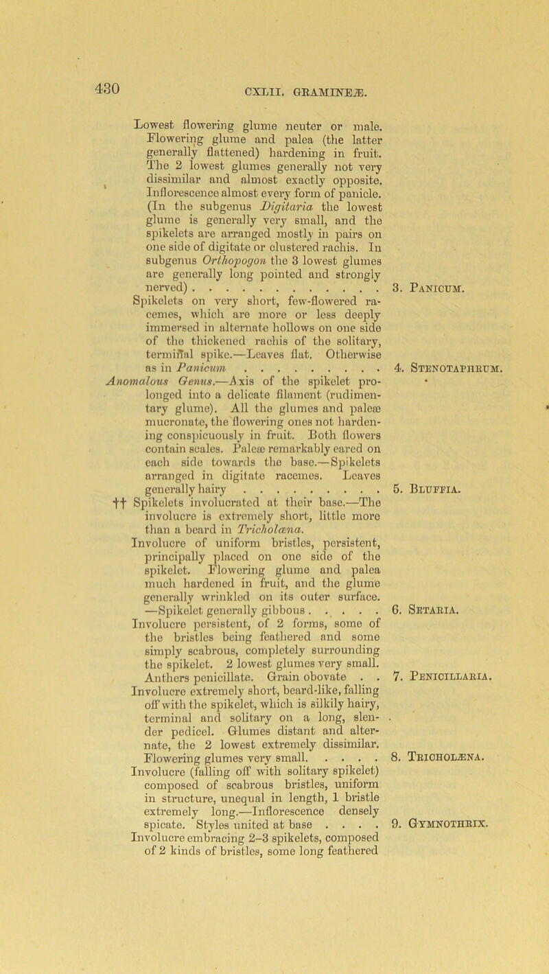 Lowest flowering glume neuter or male. Flowering glume and palea (the latter generally flattened) hardening in fruit. The 2 lowest glumes generally not very dissimilar and almost exactly opposite. Infloi’escenco almost every form of panicle. (In the subgenus Digitaria the lowest glume is generally very small, and the spikelets are arranged mostly in pairs on one side of digitate or clustered rachis. In subgenus Orlhopogon the 3 lowest glumes are generally long pointed and strongly nerved) 3. Panicom. Sjiikolets on very short, few-flowered ra- cemes, which are more or less deeply immersed in alternate hollows on one side of the thiekened rachis of the solitary, termiiTal spike.—Leaves flat. Otherwise ns in Paniemn 4. STENOTAPHRtiM. Anomalous Qemts.—ilxis of the spikelet pro- longed into a delicate filament (rudimen- tary glume). All the glumes and pnlero mucronate, the flowering ones not harden- ing consjjicuously in fruit. Both flowers contain scales. Palete remarkably cared on each side towards the base.—Spikelets arranged in digitate racemes. Leaves generally hairy 5. Bluffia. +t Spikelets involucrated at their base.—The involucre is extremely short, little more than a beard in TrieholcBna. Involucre of uniform bristles, persistent, principally placed on one side of the spikelet. Flowering glume and palea much hardened in fruit, and the glume generally wrinkled on its outer surface. —Spikelet generally gibbous G. Setaeia. Involucre persistent, of 2 forms, some of the bristles being feathered and some simply scabrous, completely surrounding the s])ikelet. 2 lowest glumes very small. Anthers penicillate. Grain obovate . . 7. Penicillaeia. Involucre extremely short, beard-like, fulling oir with the spikelet, which is silkily hairy, terminal and solitary on a long, slen- . der pedicel. Glumes distant and alter- nate, the 2 lowest extremely dissimilar. Flowering glumes very small 8. Teiohol^na. Involucre (falling off with solitary spikelet) composed of scabrous bristles, uniform in structure, unequal in length, 1 bristle extremely long.—Inflorescence densely spicate. Styles united at base .... 9. Gtmnotheix. Involucre embracing 2-3 spikelets, composed of 2 kinds of bristles, some long featliered