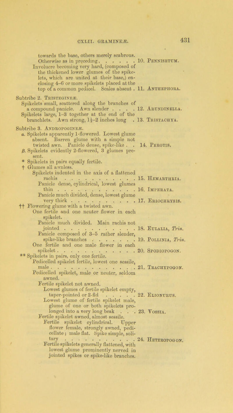 towards the base, others merely scabrous. Otherwise as in preceding 10. Pennisettjm. Involucre becoming very hard, (composed of the thickened lower glumes of the spike- lets, which are united at their base,) en- closing 4-6 or more spikelets placed at the top of a common pedicel. Scales absent . 11. Antiiepiiora. Subtribe 2. Teistegine.®. Spikelets small, scattered along the branches of a compound panicle. Awn slender .... 12. Aeundinelea. Spikelets large, 1-3 together at the end of the branchlets. Awn strong, li-2 inches long . 13. Tristachya. Subtribe 3. Andeopoginea:. o. Spikelets apparently 1-flowered. Lowest glume absent. Barren glume with a simple not twisted awn. Panicle dense, spike-like . . 14. Peeotis. p. Spikelets evidently 2-flowered, 3 glumes pre- sent. * Spikelets in pairs equally fertile. t Glumes all a'.vnless. Spikelets indented in the axis of a flattened racliis 15. Hemaetheia. Panicle dense, cylindrical, lowest glumes thin 16. Impeeata. Panicle much divided, dense, lowest glume very thick 17. Eeiochutsis. f f Flowering glume with a twisted awn. One fertile and one neuter flower in each spikelet. Panicle much divided. Main rachis not jointed 18. Eulalia, Trin. Panicle composed of 3-5 rather slender, spike-like branches 19. Pollinia, Trin. One fertile and one male flower in each spikelet 20. Spodiopogon. ** Spikelets in pairs, only one fertile. Pedicelled spikelet fertile, lowest one sessile, male 21. Teachypogon. Pedicelled spikelet, male or neuter, seldom awned. Fertile spikelet not awned. Lowest glumes of fertile spikelet empty, taper-pointed or 2-fid 22. Elionueus. Lowest glume of fertile spikelet male, glume of one or both spikelets pro- longed into a very long beak . . , 23. VoasiA. Fertile spikelet awned, almost sessile. Fertile spikelet cylindrical. Upper flower female, strongly awned, pedi- cellate ; male flat. Spike simple, soli- 24. Heteropogon. Fertile spikelets generally flattened, with lowest glume prominently nerved in jointed spikes or spike-like branches.