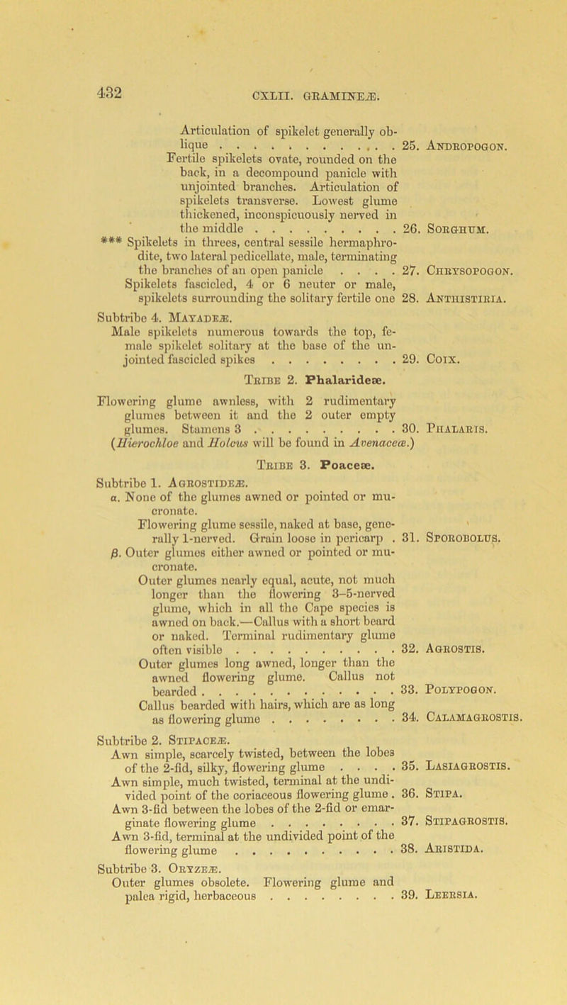 Articulation of spikelet generally ob- lique 25. Andeopoqon. Fertile spikelets ovate, rounded on the back, in a decompound panicle with unjointed branches. Articulation of spikelets transverse. Lowest glume thickened, inconspicuously neiwed in the middle 26. Sorghum. *** Spikelets in threes, central sessile hermaphro- dite, tw'o lateral pedicellate, male, terminating the branches of an open panicle .... 27. Chetsopogon. Spikelets fascicled, 4 or 6 neuter or male, spikelets surrounding the solitary fertile one 28. Antiiistieia. Subtribc 4. MATADEiE. Male spikelets numerous towards the top, fe- male spikelet solitary at the base of the un- jointed fascicled spikes 29. Coix. Teibe 2. Phalaridese. Flowering glume awnlcss, with 2 rudimentary glumes between it and the 2 outer empty glumes. Stamens 3 30. Piialaeis. {llierochloe and Kolcus will be found in Avenaceai.) Teibe 3. Poacese. Subtribo 1. Ageostideas. a. None of the glumes awned or pointed or mu- cronate. Flowering glume sessile, naked at base, gene- ' rally 1-nerved. Q-rain loose in pericarp . 31. Spoeobolus. p. Outer glumes either awned or pointed or mu- cronate. Outer glumes nearly equal, acute, not much longer than the llowering 3-5-nerved glume, which in all the Cape species is awned on back.—Callus with a short beard or naked. Terminal rudimentary glume often visible 32. Ageostis. Outer glumes long awned, longer than the awned flowering glume. Callus not bearded 33. Polypogon. Callus bearded with hairs, which are as long as flowering glume 34. Calamageostis. Subtribe 2. Stipacea!. Awn simple, scarcely twisted, between the lobes of the 2-fid, silky, flowering glume .... 35. Lasiageostis. Awn simple, much twisted, terminal at the undi- vided point of the coriaceous flowering glume . 36. Stipa. Awn 3-fid between the lobes of the 2-fid or emar- ginate flowering glume 37. Stipageostis. Awn 3-fid, terminal at the undivided point of the flowering glume 38. Aristida. Sub tribe 3. Oryze^:. Outer glumes obsolete. Flowering glume and palea rigid, herbaceous 39. Leeesia.