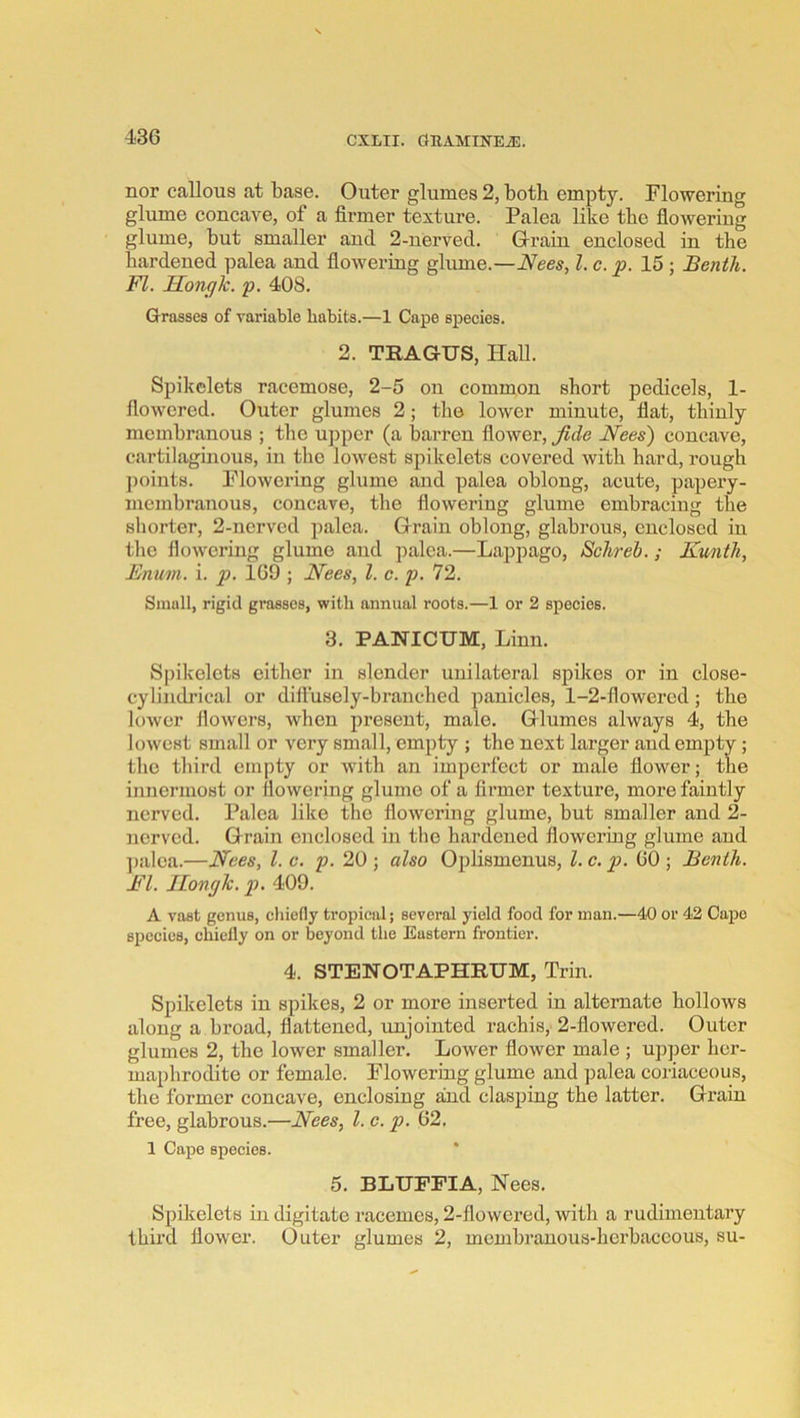 nor callous at base. Outer glumes 2, both empty. Plowering glume concave, of a firmer texture. Palea like the floAveriug glume, but smaller aud 2-uerved. Grraiu enclosed in the hardened palea and flowering glume.—Nees, 1. c. p. 15 ; Benth. FI. Honqk. p. 408. Grasses of variable habits.—1 Cape species. 2. TRAGUS, Hall. Spikclets racemose, 2-5 on common short pedicels, 1- fiowered. Outer glumes 2; the lower minute, flat, thinly membranous ; the upper (a barren flower, Jide Nees) concave, cartilaginous, in the lowest spikelets covered with hard, rough jmiuts. Flowering glume and palea oblong, acute, papery- membranous, concave, the flowering glume embracing the sliorter, 2-nerved palea. Grain oblong, glabrous, enclosed in the flowering glume and palea.—Lappago, Schreb.; Kunth, Enum. i. p. 169 ; Nees, 1. c. p. 72. Smull, rigid grasses, with annual roots.—1 or 2 species. 3. PANICUM, Linn. S|)ikelets either in slender unilateral spikes or in close- cylindrical or dillusely-brauched panicles, 1-2-flowercd; the lower flowers, when present, male. Glumes always 4, the lowest small or very small, empty ; the next larger and empty; the third empty or with an imperfect or male flower; the innermost or flowering glume of a firmer texture, more faintly nerved. Palea like the flowering glume, but smaller and 2- nerved. Grain enclosed in the hardened floweriug glume aud ])alca.—Nees, 1. c. p. 20 ; also Oplismenus, 1. e. p. 60 ; Benih. FI. Jlongh. p. 409. A vast genus, chiefly tropical; several yield food for man.—40 or 42 Capo species, chiefly on or beyond the Eastern frontier. 4. STENOTAPHRUM, Trim Spikelets in spikes, 2 or more inserted in alternate hollows along a broad, flattened, unjointed rachis, 2-flowered. Outer glumes 2, the lower smaller. Lower flower male ; upper her- maphrodite or female. Flowering glume and palea coriaceous, the former concave, enclosing and clasping the latter. Grain free, glabrous.—Nees, l.e. p. 62. 1 Cape species. 5. BLUFPIA, Nees. Spikelets in digitate racemes, 2-flowered, with a rudimentary third flower. Outer glumes 2, membranous-herbaceous, su-