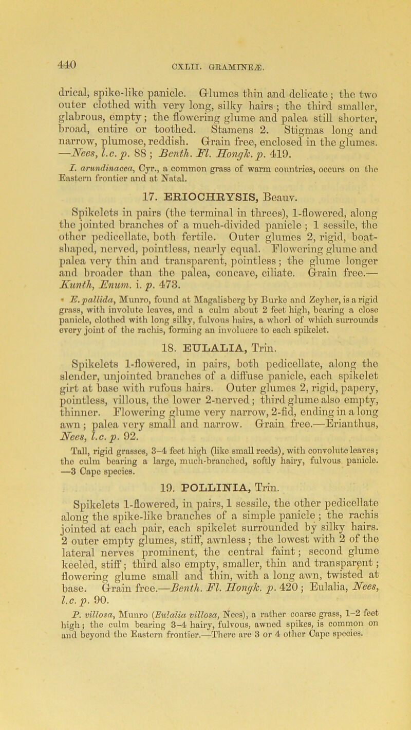 drical, spike-like panicle. Grlumes thin and delicate ; the two onter clothed with very long, silky hairs ; the third smaller, glabrous, empty; the flowering glume and palea still shorter, broad, entire or toothed. Stamens 2. Stigmas long and narrow, plumose, reddish. Grrain free, enclosed in the glumes. —Nces, l.c. p. 88 ; Benth. FI. Fonglc. p. 419. I. arundinacen, Cjr., a common grass of warm countries, occurs on (ho Eastern frontier and at Natal. 17. ERIOCHRYSIS, Beauv. Spikelets in pairs (the terminal in threes), 1-flowered, along the jointed branches of a much-divided panicle ; 1 sessile, the other pedicellate, both fertile. Outer glumes 2, rigid, boat- sha])cd, nerved, ])ointless, nearly cq\;al. Flowering glume and palea very thin and tra7is])arcnt, pointless; the glume longer and broader than the palea, concave, ciliate. G-rain free.— Kunth, Fnum. i. p. 473. » TH. pallida, Munro, found at Magalisbcrg by Eurke and Zeybor, is a rigid grass, with involute leaves, and a culm about 2 feet high, bearing a close panicle, clothed with long silky, fulvous hairs, a whorl of wliich surrounds every joint of tlie racliis, forming an involucre to each spikelet. 18. EULALIA, Trin. Spikelets 1-flowered, in pairs, both pedicellate, along the slender, unjointed branches of a diffuse panicle, each spikelet girt at base with rufous hairs. Outer glumes 2, rigid, papery, pointless, villous, the lower 2-nerved; third glume also em])ty, thinner. Flowering glume very narroAV, 2-fid, ending in a long awn ; palea very small and narrow. Grrain free.—Eriauthus, Fees, l.c.p. 92. Tall, rigid grasses, 3-4 feet high (like small reeds), with convolute leaves; the culm bearing a large, much-branched, softly haii-y, fulvous panicle. —3 Cape species. 19. POLLINIA, Trin. Spikelets 1-flowered, in pairs, 1 sessile, the other pedicellate along the spike-like branches of a simple panicle ; the rachis jointed at each pair, each spikelet surrounded by silky hairs. 2 outer empty glumes, stiff, awnless; the lowest Avith 2 of the lateral nerves prominent, the central faint; second glume keeled, stiff; third also empty, smaller, thin and transparpnt; flowering glume small and thin, Avith a long aAAOi, twisted at base. Grrain free.—Benth. FI. Ilongk. p.‘^20 •, Eulalia, iVees, l.c. p. 90. P. villosa, Munro {Eulalia villosa, Nees), a rather coarse grass, 1-2 feet high; the culm bearing 3-4 hairy, fidvous, awned spikes, is comrnon on and beyond the Eastern frontier.—There are 3 or 4 otlicr Cape species.