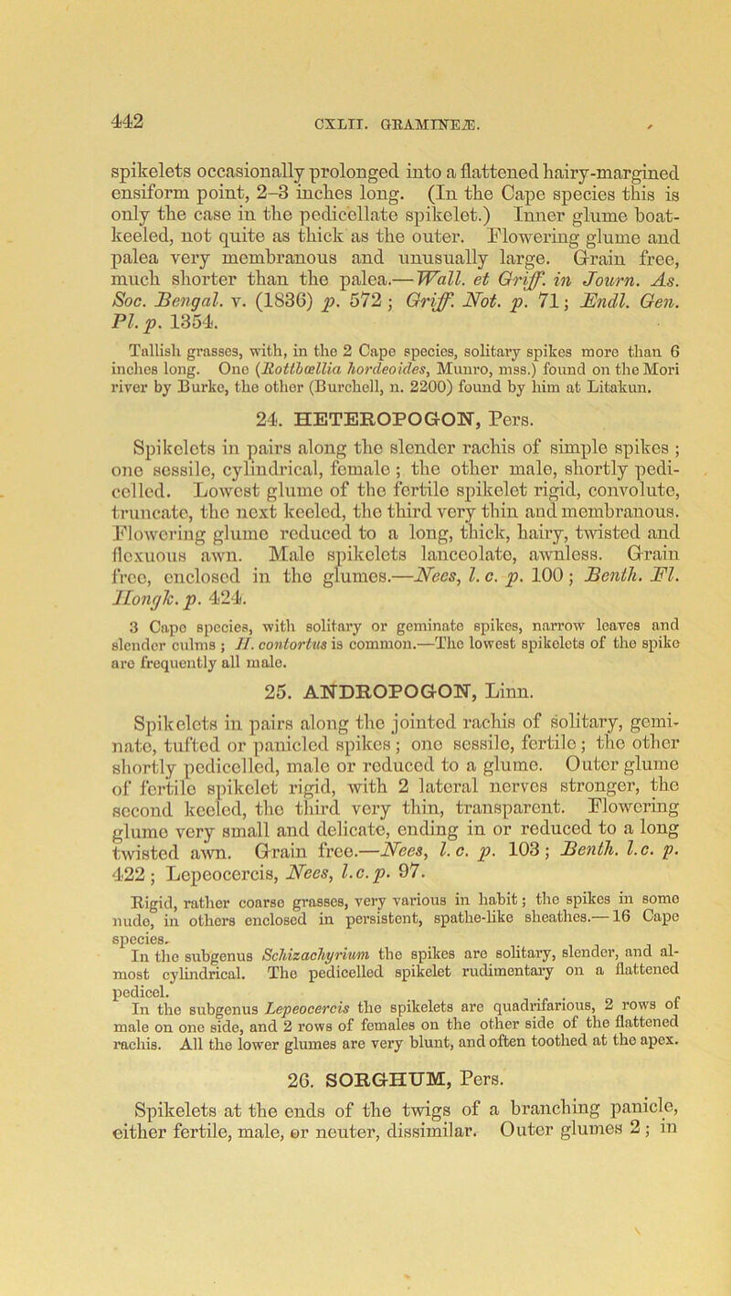 spikelets occasionally prolonged into a flattened hairy-margined ensiform point, 2-3 inches long. (In the Cape species this is only the case in the pedicellate spikelet.) Inner glume boat- keeled, not quite as thick as the outer. Plowering glume and palea very membranous and unusually large. G-rain free, much shorter than the palea.— Wall, et Griff, in Journ, As. Soc. Bengal, v. (1836) p. 572 j Griff. Not. p. 71; Endl. Gen. PI. p. 1354. Tallish grasses, with, in the 2 Cape species, solitary spikes more than 6 inches long. One (MoUbcelUa hordeoides, Muni’O, mss.) found on the Mori river by Burke, the other (Burchcll, n. 2200) found by him at Litakun. 24. HETEROPOGON, Pers. Spikelets in pairs along the slender raehis of simple spikes ; one sessile, cylindrical, female ; the other male, shortly pedi- cel led. Lowest glume of the fertile spikelet rigid, convolute, truncate, the next keeled, the third very thin and membranous. Flowering glume reduced to a long, thick, hairy, tudsted and flcxuous awn. Male spikelets lanceolate, awnless. Gri’ain free, enclosed in the glumes.—Nees, 1. c. p. 100 ; Benth. FI. JLongh.p. 424. 3 Capo species, with solitary or geminate spikes, narrow leaves and slender culms ; II. contortua is common.—The lowest spikelets of the spike are frequently all male. 25. ANDROPOGON, Linn. Spikelets in pairs along the jointed raehis of solitary, gemi- nate, tufted or panicled spikes ; one sessile, fertile ; the other shortly podicelled, male or reduced to a glume. Outer glume of fertile spikelet rigid, with 2 latei’al nerves stronger, the second keeled, the third vexy thin, transparent. Flowering glume very small and delicate, ending in or reduced to a long twisted a^vn. Grain free.—Nees, l.c. p. 103; Benth. l.c. p. 422 ; Lepeocercis, Nees, 1. c. p. 97. Rigid, rather coarse grasses, very various in habit; the spikes in some nude, in others enclosed in persistent, spathe-like sheathes. 16 Cape species. In the subgenus Schizachyriwin the spikes arc sohtary, slender, and al- most cylindrical. The pedicelled spikelet rudimentary on a flattened pedicel. . In the Bubgenus Lepeocercis the spikelets are quadrifarious, 2 rows ot male on one side, and 2 rows of females on the other side of the flattened raehis. All the lower glumes are very blunt, and often toothed at the apex. 26. SORGHUM, Pers. Spikelets at the ends of the twigs of a branching panicle, either fertile, male, or neuter, dissimilar. Outer glumes 2 ; in