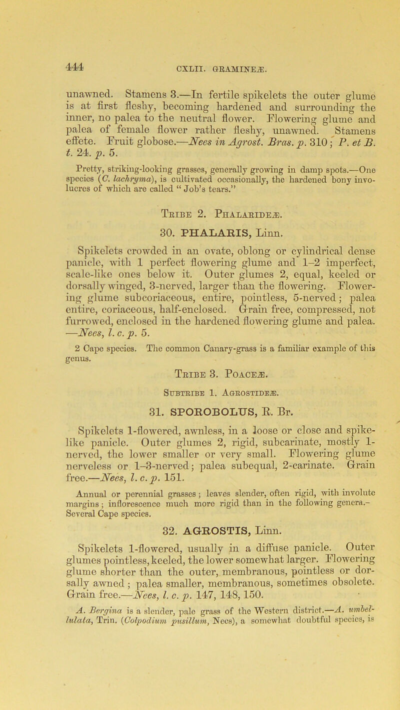 unawned. Stamens 3.—In fertile spilcelets the outer glume is at first fleshy, becoming hardened and surrounding the inner, no palea to the neutral flower, flowering glume and palea of female flower rather flesliy, unawned. Stamens efiete. Pruit globose.—Nees in Agrost. Bras. p. 310 f P. et B. t. 24. f. 5. Pretty, striking-looking grasses, generally growing in damp spots.—One species (C. lachrgma), is cultivated occasionally, the hardened bony invo- lucres of which are called “ Job’s tears.” TeIBE 2. PuALAEIDEiE. 30. PHALARIS, Linn. Spikelets crowded in an ovate, oblong or cylindrical dense panicle, witli 1 perfect flowering glume and 1-2 imperfect, scale-like ones below it. Outer glumes 2, equal, keeled or dorsally winged, 3-ncrved, larger than the flowering. Flower- ing glume subcoriaceous, entire, pointless, 5-nerved; palea entire, coriaceous, half-enclosed. Q-rain free, compressed, not furrowed, enclosed in the hardened flowering glume and palea. —Necs, 1. c. p. 5. 2 Capo species. Tlie common Canary-grass is a familiar example of this genus. TeIBE 3. POACEiE. SUBTIIIBE 1. AgROSTIDEA). 31. SPOROBOLUS, R. Br. Spikelets 1-flowcred, awnless, in a loose or close and spike- like panicle. Outer glumes 2, rigid, subcarinate, mostly 1- nerved, the lower smaller or very small. Flowering glume ticrvelcss or 1-3-nerved; palea subequal, 2-carinate. Grain free.—Nees, 1. c. p. 151. Annual or perennial grasses; leaves slender, often rigid, with involute margins; inflorescence much more rigid than in the following gencra.- Sevcral Capo species. 32. AGROSTIS, Linn. Spikelets 1-flowered, usually in a diffuse panicle. Outer glumes pointless, keeled, the lower somewhat larger. Flowering glume shorter than the outer, membranous, pointless or dor- sally awned ; palea smaller, membranous, sometimes obsolete. Grain free.—1. c. p. 147, 148,150. A. Bergina is a slender, pale grass of the Western district.—A. umhel- lulala. Trill, [fiolgodium pusillum, Necs), a somewhat doubtful species, is