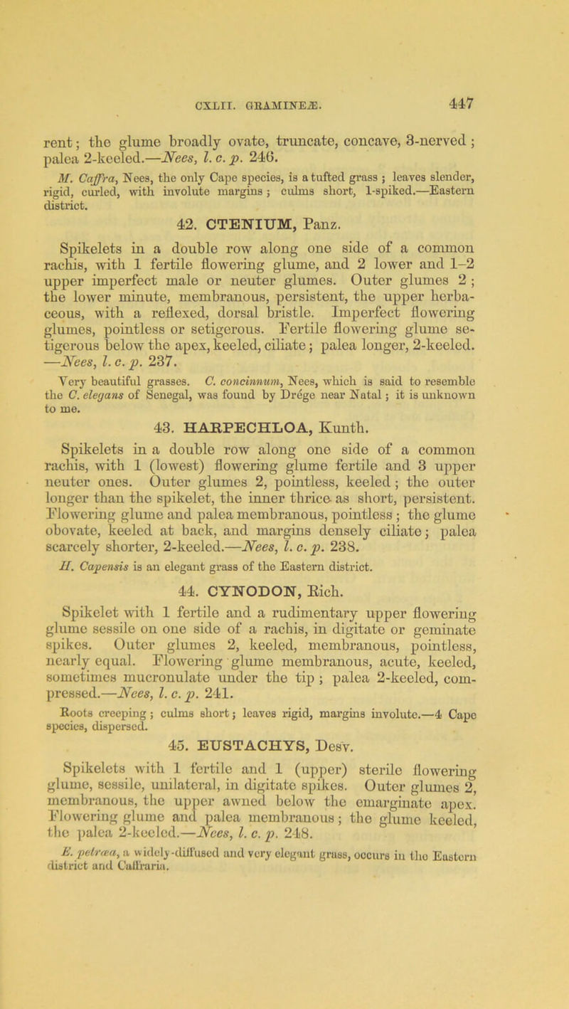 rent; the glume broadly ovate, truncate, concave, 3-nerved ; palea 2-keeled.—Nees, 1. c. p. 240. M. Caffra, Nees, the only Cape species, is a tufted grass ; leaves slender, rigid, curled, with involute margins j cuhns short, l-spiked.—Eastern district. 42. CTENIUM, Panz. Spikelets in a double row along one side of a common rachis, with 1 fertile flowering glume, and 2 lower and 1-2 upper imperfect male or neuter glumes. Outer glumes 2 ; the lower minute, membranous, persistent, the upper herba- ceous, with a reflexed, dorsal bristle. Imperfect flowering glumes, pointless or setigerous. Pertile flowering glume se- tigerous below the apex, keeled, ciliate; palea longer, 2-keeled. —Nees, 1. c. p. 237. Very beautiful grasses. C. concinnum, Nees, which is said to resemble the C. elegans of Senegal, was found by Drege near Natal; it is unknown to me. 43. HARPECHLOA, Kunth. Spikelets in a double row along one side of a common rachis, with 1 (lowest) flowering glume fertile and 3 upper neuter ones. Outer glumes 2, pointless, keeled; the outer longer than the spikelet, the inner thrice as short, persistent. Plowering glume and palea membranous, pointless; the glume obovate, keeled at back, and margins densely ciliate; palea scarcely shorter, 2-keeled.—Nees, 1. c. p. 238. U. Capensis is an elegant grass of the Eastern district. 44. CYNODON, Eich. Spikelet tvith 1 fertile and a rudimentary upper flowering glume sessile on one side of a rachis, in digitate or gemmate spikes. Outer glumes 2, keeled, membranous, pointless, nearly equal. Plowering glume membranous, acute, keeled, sometimes mucronulate under the tip ; palea 2-keeled, com- pressed.—Nees, 1. c. p. 241. Boots creeping ; culms short; leaves rigid, margins involute.—4 Capo species, dispersed. 45. EUSTACHYS, DesY. Spikelets with 1 fertile and 1 (upper) sterile flowering glume, sessile, unilateral, in digitate spikes. Outer glumes 2, membranous, the upper awned below the emargiuate apex. Flowering glume and palea membranous; the ghime keeled, the palea 2-keeled.—Nees, 1. c. p. 248. E.pelra:a, a widely-dill'uscd and very elegant grass, occurs in the Eastern flistrict and Cail'raria.