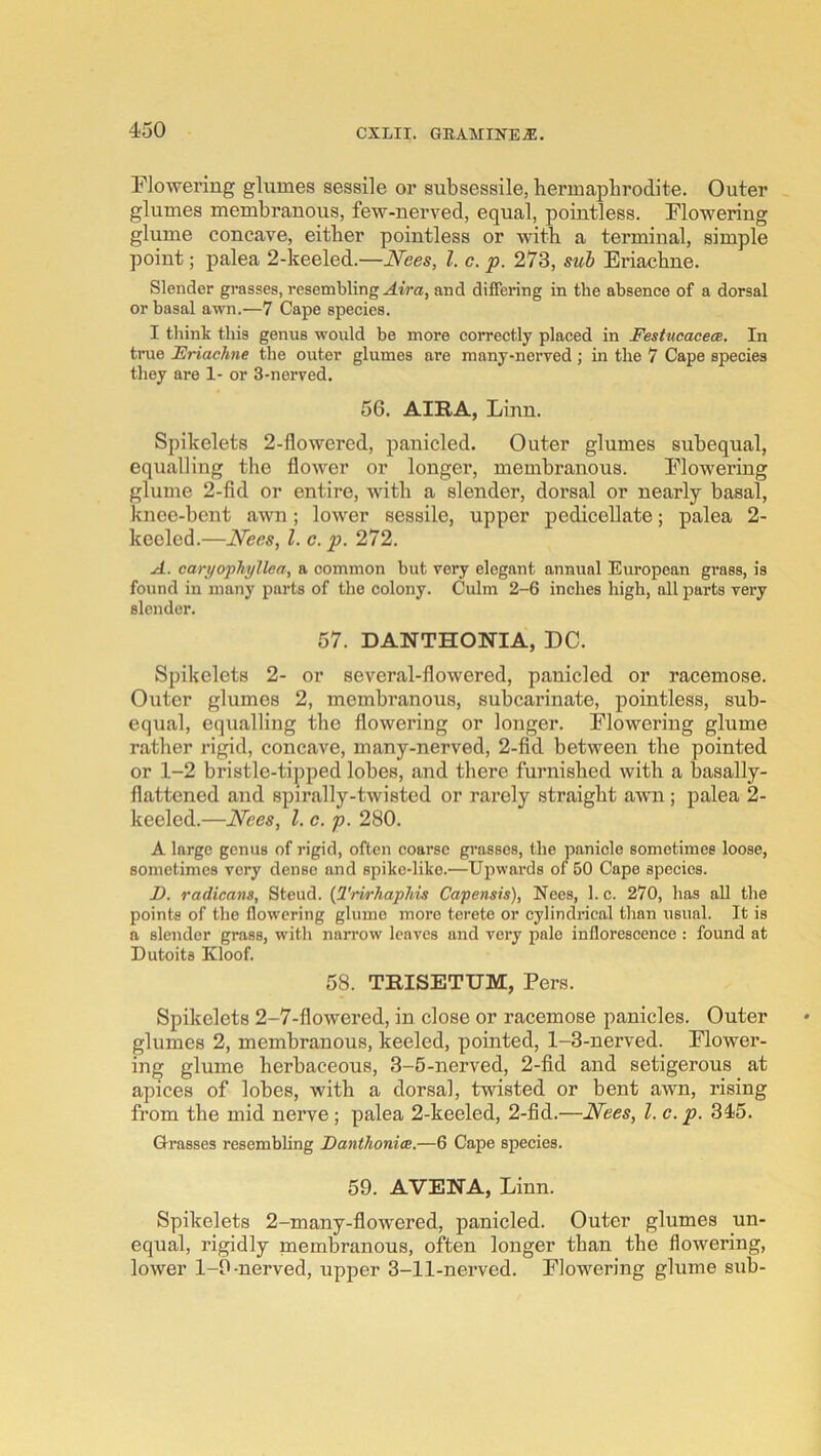 Flowering glumes sessile or subsessile, liermaj)lirodite. Outer glumes membranous, few-nerved, equal, pointless. Flowering glume concave, either pointless or with a terminal, simple point; palea 2-keeled.—Nees, 1. e. p. 273, sub Eriacbne. Slender grasses, resembling ^iVa, and differing in the absence of a dorsal or basal awn.—7 Cape species. I think this genus would be more correctly placed in FestucacecB. In true Friachne the outer glumes are many-nerved ; in the 7 Cape species they are 1- or 3-nerved. 56. AIRA, Linn. Spikelets 2-llowered, panicled. Outer glumes subequal, equalling the flower or longer, membranous. Flowering glume 2-fid or entire, with a slender, dorsal or nearly basal, knee-bent a-wn; lower sessile, upper pedicellate; palea 2- keolcd.—Nees, 1. c.p. 272. A. cartfophyllea, a common but very elegant annual European grass, is found in many parts of the colony. Culm 2-6 inches high, all parts very slender. 57. DANTHOWIA, DC. Spikelets 2- or several-flowered, panicled or racemose. Outer glumes 2, membranous, subcarinate, pointless, sub- equal, equalling the flowering or longer. Flowering glume rather rigid, concave, many-nerved, 2-fid between the pointed or 1-2 bristle-tipped lobes, and there furnished Avith a basally- flattened and spirally-twisted or rarely straight awn; palea 2- keeled.—Nees, 1. c. p. 280. A large genus of rigid, often coarse grasses, the panicle sometimes loose, sometimes very dense and spike-like.—Upwards of 50 Cape species. D. radicans, Steud. {I'rirhaphis Capensis), Nees, 1. c. 270, has all the points of the flowering glume more terete or cylindrical than usual. It is a slender grass, with narrow leaves and very pale inflorescence : found at Dutoits Kloof. 58. TRISETUM, Pers. Spikelets 2-7-flowered, in close or racemose panicles. Outer glumes 2, membranous, keeled, pointed, 1-3-nerved. Flower- ing glume herbaceous, 3-5-nerved, 2-fid and setigerous at apices of lobes, with a dorsal, twisted or bent awn, rising from the mid nerve; palea 2-keeled, 2-fid.—Nees, 1. c. p. 345. Grasses resembling Fanthonice.—6 Cape species. 59. AVENA, Linn. Spikelets 2-many-fiowered, panicled. Outer glumes un- equal, rigidly membranous, often longer than the floivering, lower 1-0-nerved, upper 3-11-nerved. Flowering glume sub-