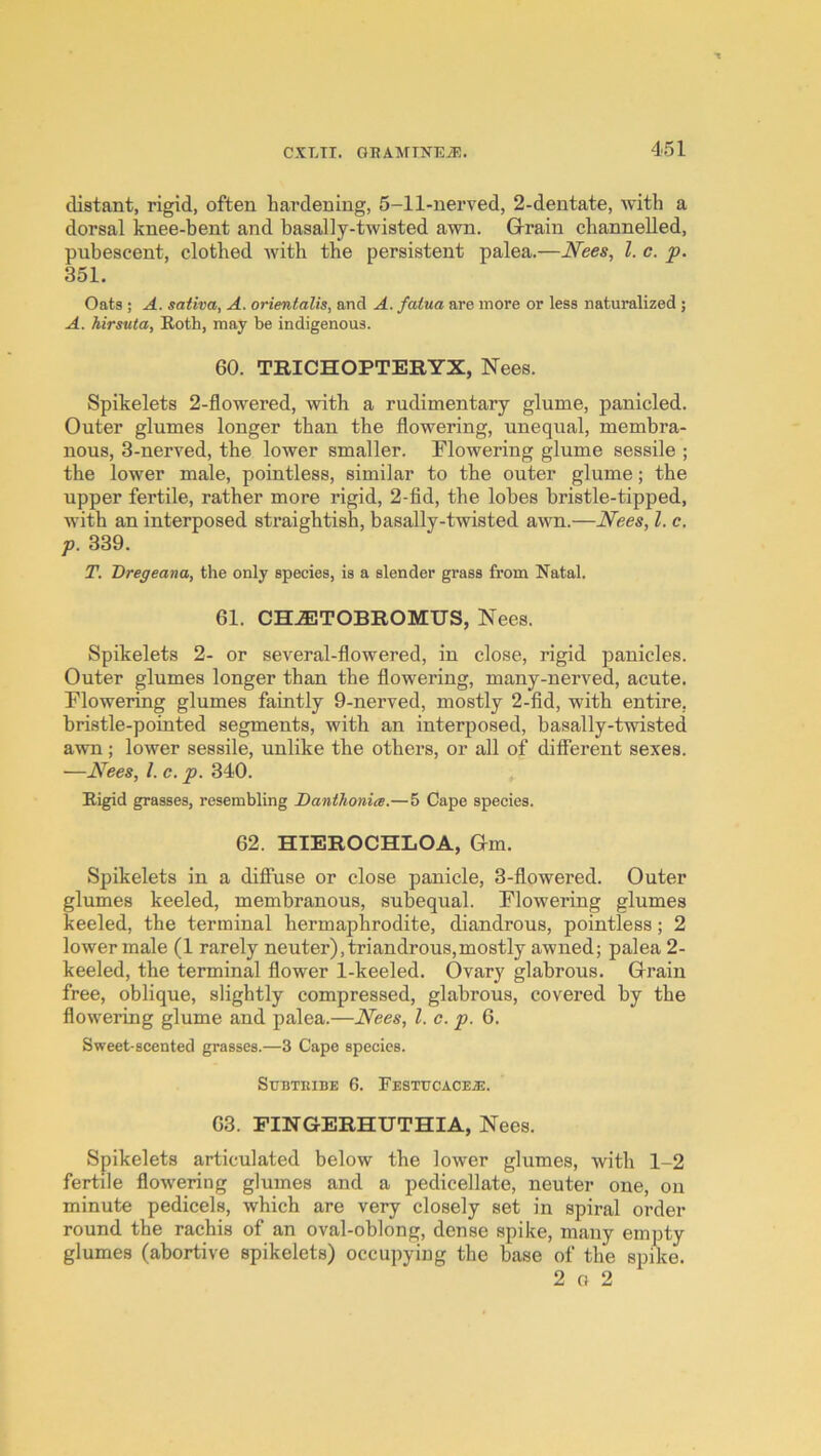 cliatant, rigid, often hardening, 5-11-nerved, 2-dentate, with a dorsal knee-bent and basally-twisted awn. Grain channelled, pubescent, clothed with the persistent palea.—Nees, 1. c. p. 351. Oats; A. saliva, A. orientalis, and A. fatua are more or less naturalized; A. hirsuta, Roth, may be indigenous. 60. TRICHOPTERYX, Nees. Spikelets 2-flowered, with a rudimentary glume, panicled. Outer glumes longer than the flowering, unequal, membra- nous, 3-nerred, the lower smaller. Flowering glume sessile ; the lower male, pointless, similar to the outer glume; the upper fertile, rather more rigid, 2-fid, the lobes bristle-tipped, with an interposed straightish, basally-twisted awn.—Nees, 1. c. p. 339. T. Dregeana, the only species, is a slender grass from Natal. 61. CHJETOBROMUS, Nees. Spikelets 2- or several-flowered, in close, rigid panicles. Outer glumes longer than the flowering, many-nerved, acute. Flowering glumes faintly 9-nerved, mostly 2-fid, with entire, bristle-pointed segments, with an interposed, basally-twisted awn; lower sessile, unlike the others, or all of different sexes. —Nees, 1. c. p. 340. Rigid grasses, resembling Danthonics.—5 Cape species. 62. HIEROCHLOA, Gm. Spikelets in a diffuse or close panicle, 3-flowered. Outer glumes keeled, membranous, subequal. Flowering glumes keeled, the terminal hermaphrodite, diandrous, pointless; 2 lower male (1 rarely neuter), triandrous,mostly awned; palea 2- keeled, the terminal flower 1-keeled. Ovary glabrous. Grain free, oblique, slightly compressed, glabrous, covered by the flowering glume and palea.—Nees, 1. c. p. 6. Sweet-scented grasses.—3 Cape species. SuBTIlIBE 6. FESTTJCACEiE. 63. FINGERHUTHIA, Nees. Spikelets articulated below the lower glumes, with 1-2 fertile flowering glumes and a pedicellate, neuter one, on minute pedicels, which are very closely set in spiral order round the rachis of an oval-oblong, dense spike, many empty glumes (abortive spikelets) occupying the base of the spike. 2 0 2