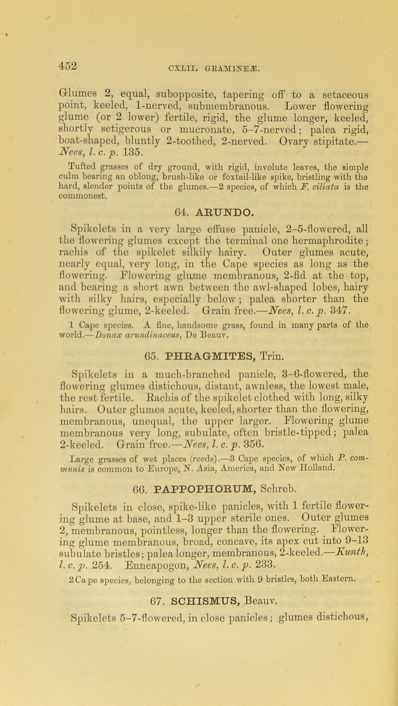 Grlumes 2, equal, subopposite, tapering off to a setaceous point, keeled, 1-nerved, submembranous. Lower flowering glume (or 2 lower) fertile, rigid, the glume longer, keeled, shortly setigerous or mucronate, 5-7-nerved; palea rigid, boat-sliaped, bluntly 2-tootbed, 2-nerved. Ovary stipitate.— Nees, 1. c. p. 135. Tufted passes of dry ground, with rigid, involute leaves, the simple culm bearing an oblong, brush-like or foxtail-like spike, bristling with the hard, slender points of the glumes.—2 species, of which F. ciliata is the commonest. 64. ARUNDO. Spikelets in a very large effuse panicle, 2-5-flowered, all the flowering glumes except the terminal one bermaplu-odite; rachis of the spikelet silkily hairy. Outer glumes acute, nearly equal, very long, in the Cape species as long as the flowering. Flowering glume membranous, 2-fid at the top, and bearing a short awn between the awl-shaped lobes, hairy with silky hairs, especially below ; palea shorter than the flowering glume, 2-keeled. Grrain free.—Nees, l.c.p. 347. 1 Cape species. A fine, handsome grass, found in many parts of the world.—Bonax anmdinaceus, Do Beauv. 65. PHRAGMITES, Trin. Spikelets in a much-branched panicle, 3-6-flowered, the flowering glumes distichous, distant, awnless, the lowest male, the rest fertile, llachis of the spikelet clothed with long, silky hairs. Outer glumes acute, keeled, shorter than the flowering, membranous, unequal, tlie upper larger. Flowering glume membranous very long, subulate, often bristle-tipped; palea 2-keeled. Grain free.—Nees, 1. c. p. 356. Largo grasses of wet places (reeds).—3 Cape species, of which P. com- munis is common to Europe, N. Asia, America, and New Holland. 66. PAPPOPHORUM, Schreb. Spikelets in close, spike-like panicles, with 1 fertile flower- ing glume at base, and 1-3 upper sterile ones. Outer glumes 2, membranous, pointless, longer than the flowering. Flower- ing glume membranous, broad, concave, its apex cut into 9-13 subulate bristles; palea longer, membranous, 2-keeled.—Kunth, 1. c. p. 254. Enueapogon, Nees, 1. c. p. 233. 2 Ca pe species, belonging to the section with 9 bristles, both Eastern. 67. SCHISMUS, Beauv. Spikelets 5-7-flowered, in close panicles; glumes distichous,