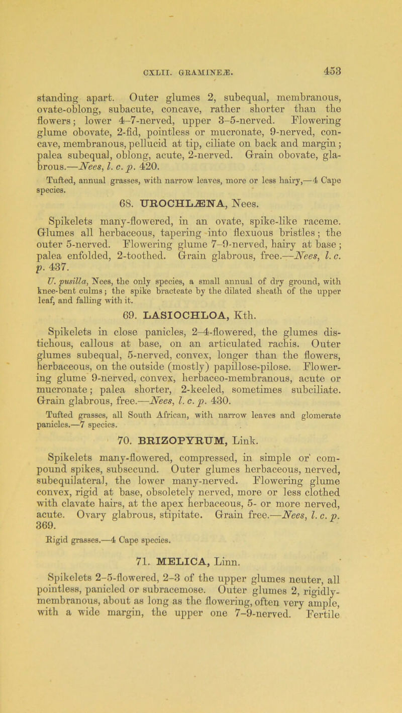 standing apart. Onter glnmes 2, subeqnal, membranous, ovate-oblong, subacute, concave, rather shorter than the flowers; lower 4-7-nerved, upper 3-5-nerved. Mowering glume obovate, 2-fid, pointless or mucronate, 9-nerved, con- cave, membranous, pellucid at tip, ciliate on back and margin; palea subeqnal, oblong, acute, 2-nerved. Glrain obovate, gla- brous.—Nees, 1. c. p. 420. Tufted, annual grasses, with narrow leaves, more or less hairy,—4 Capo species. 68. UROCHL^NA, Nees. Spikelets many-fiowered, in an ovate, spike-like raceme. Grlumes all herbaceous, tapering -into flexuous bristles; the outer 5-nerved. ^lowering glume 7-9-nerved, hairy at base ; palea enfolded, 2-toothed. Grain glabrous, free.—Nees, 1. c. p. 437. Z7. pusilla, Nees, the only species, a small annual of dry ground, with knee-bent culms; the spike bracteate by the dilated sheath of the upper leaf, and falling witli it. 69. LASIOCHLOA, Kth. Spikelets in close panicles, 2-4-flowered, the glumes dis- tichous, callous at base, on an articulated rachis. Outer glumes subequal, 5-nerved, convex, longer than the flowers, herbaceous, on the outside (mostly) papillose-pilose. Flower- ing glume 9-nerved, convex, herbaceo-membranous, acute or mucronate; palea shorter, 2-keeled, sometimes subciliate. Grain glabrous, free.—Nees, 1. c. p. 430. Tufted grasses, all South African, with narrow leaves and glomerate panicles.—7 species. 70. BRIZOPYRUM, Link. Spikelets many-flowered, compressed, in simple or' com- pound spikes, subsecund. Outer glumes herbaceous, nerved, subequilateral, the lower many-nerved. Flowering glume convex, rigid at base, obsoletely nerved, more or less clothed with clavate hairs, at the apex herbaceous, 5- or more nerved, acute. Ovary glabrous, stipitate. Grain free.—Nees, 1. c. p. 369. Bigid grasses.—4 Cape species. 71. MELICA, Linn. Spikelets 2-5-flowered, 2-3 of the upper glumes neuter, all pointless, panicled or suhracemose. Outer glumes 2, rigidly- membranous, about as long as the flowering, often very ample, with a wide margin, the upper one 7-9-uerved. Fertile