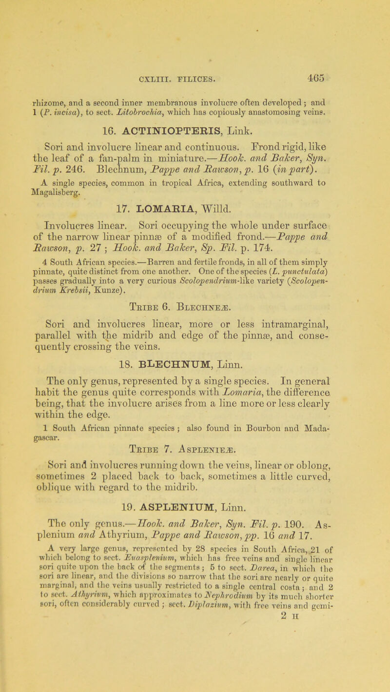 rliizome, and a second inner membranous involucre often developed ; and 1 {P. htcisa), to sect. Litohrochia, which has copiously anastomosing veins. IG. ACTINIOPTERIS, Link. Sori and involucre linear and continuous. Prond rigid, like the leaf of a fan-palm in miniature.—HooJc. and Balcer, Syn. Fil. p. 24G. Blechnum, Pappe and Pauson, p. IG (inpari). A single species, common in tropical Africa, extending southward to Magalisberg. 17. LOMARIA, Wind. Involucres linear. Sori occupying the whole under surface of the narrow linear pinnje of a modified frond.—Pappe and Pawson, p. 27 ; HooJc. and PaJcer, Sp. Pil. p. 174. 4 South African species.—Barren and fertile fronds, in all of them simply pinnate, quite distinct from one another. One of the species (Z. punctulata) passes gi'adually into a very curious Scolopendrium-Vike variety (Scolopen- drium Krelsii, Kunze). Tribe 6. BuECHNEiE. Sori and involucres linear, more or less intramarginal, parallel with the midrib and edge of the pinnae, and conse- quently crossing the veins. 18. blechnum, Linn. The only genus, represented by a single species. In general habit the genus quite corresponds with Lomaria, the difference being, that the involucre arises from a line more or less clearly within the edge. 1 South African pinnate species ; also found in Bourbon and Mada- gascar. Tribe 7. Aspleniea:. Sori and involucres running down the veins, linear or oblong, sometimes 2 placed back to back, sometimes a little curved, oblique with regard to the midrib. 19. ASPLENIUM, Linn. The only genus.—HooJc. and PaJcer, Syn. Fil. p. 190. As- plenium and Athyrium, Pappe and Pawson, pp. IG and 17. A very large genus, represented by 28 species in South Africa, ,21 of which belong to sect. Evasplenivm, which has free veins and single linear sori quite upon the hack of the segments; 5 to sect. Barea, in which (ho sori are linear, and the divisions so narrow that the sori are nearly or quite marginal, and the veins usually restricted to a single central costa ; and 2 to sect. Alhyrivm, which approximates io Peplirodittm by its much shorter sori, often considerably curved ; sect. Dij>1azium, with free veins and gemi-