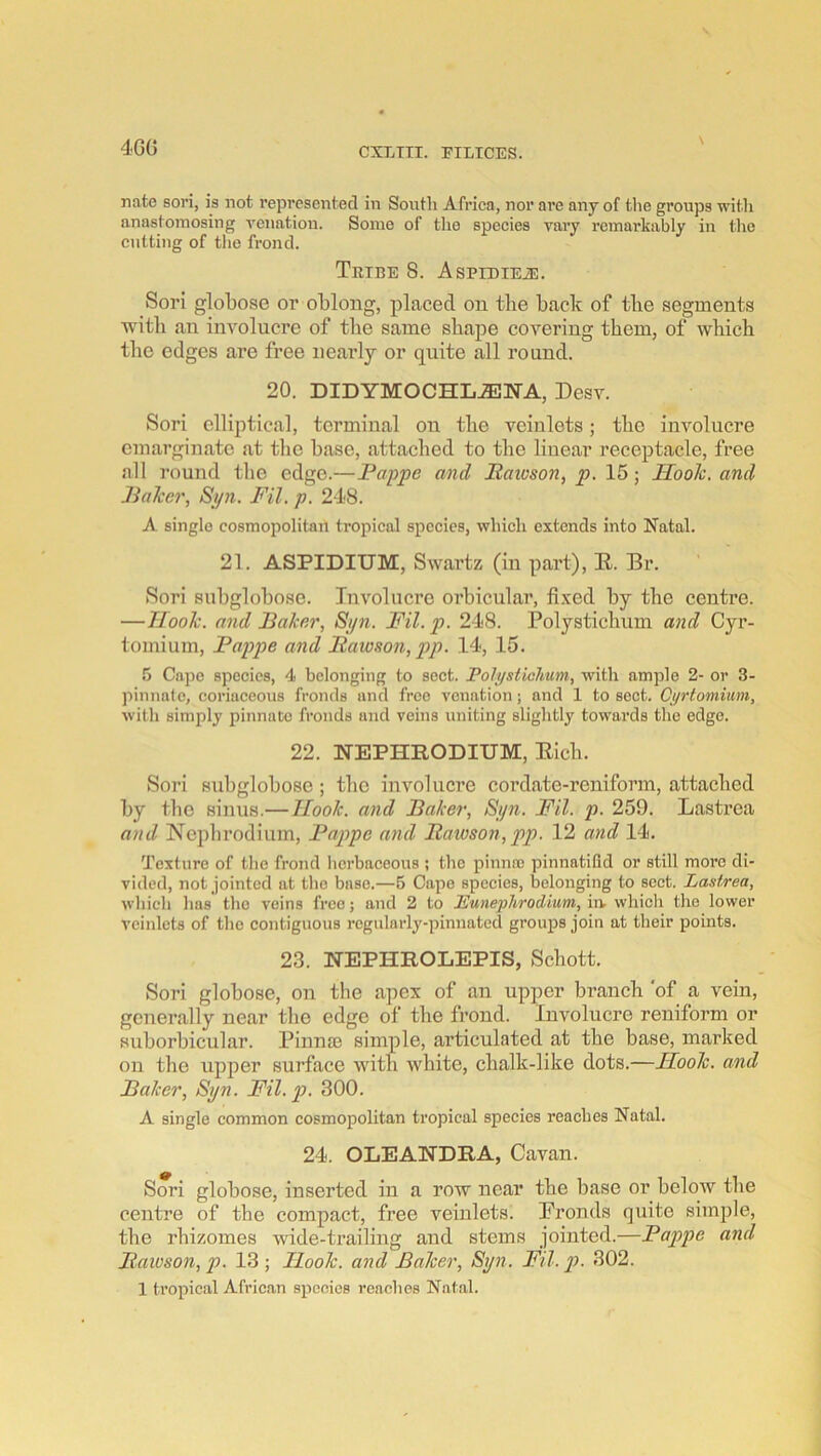 4GG \ nate sori, is not represented in South Africa, nor are any of tlie groups with anastomosing venation. Some of the species vary remarkably in the cutting of tlio frond. Tribe 8. AspiDiEiE. Sori globose or oblong, placed on tbe back of tbe segments ■with an involucre of tbe same shape covering them, of which the edges are free nearly or quite all round. 20. DIDYMOCHLJENA, Desv. Sori elliptical, terminal on the veinlets; the involucre emarginate at the base, attached to the linear receptacle, free all round the edge.—Pappe and Paivson, p. 15; IIoolc. and Jiaher, Sipi. Fil. p. 248. A single cosmopolitan tropical species, which extends into Natal. 21. ASPIDIUM, Swartz (in part), E-. Br. Sori subglobose. Involucre orbicular, fi.ved by the centre. —TlooTi. and Baker, 8i/n. Fil. p. 248. Polystichum and Cyr- tomium, Pappe and Itawson, pp. 14, 15. 5 Cape species, 4 belonging to sect. Polystichum, with ample 2- or 3- pinnale, coriaceous fronds and free venation; and 1 to sect. Cyrtomium, with simply pinnate fronds and veins uniting slightly towards the edge. 22. NEPHRODIUM, Eich. Sori subglobose; tbe involucre cordate-reniform, attached by tbe sinus.— Hook, and Baker, 8pn. Fil. p. 259. Lastrea and Nephrodium, Pappe and Bawson,pp. 12 and 14. Texture of the frond herbaceous ; the pinnro pinnatifid or still more di- vided, not jointed at the base.—6 Capo species, belonging to sect. Lastrea, which has the veins free; and 2 to Punephrodium, iiv which the lower veinlets of the contiguous rogularly-pinnated groups join at their points. 23. HEPHROLEPIS, Sebott. Sori globose, on the apex of an upper branch ‘of a vein, generally near the edge of the frond. Involucre reniform or suborbicular. Pinns0 simple, articulated at the base, marked on the upper surface with white, chalk-like dots.—FLoolc. and Baker, Syn. Fil.p. 300. A single common cosmopolitan tropical species reaches Natal. 24. OLEANDRA, Cavan. Sori globose, inserted in a row near the base or below the centre of the compact, free veinlets. Prouds quite simple, the rhizomes wide-trailing and stems jointed.—Pappe and Bawson, p. 13 ; Hook, and Baker, Syn. Fil. p. 302.