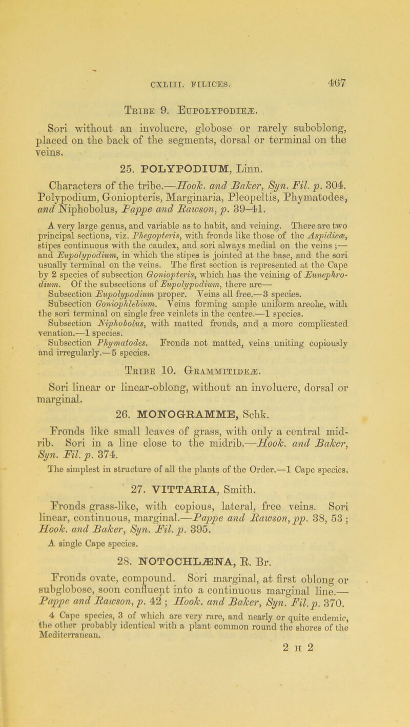 4G7 Tribe 9. EupoLTPODiEiE. Sori without an involucre, globose or rarely suboblong, placed on the back of the segments, dorsal or terminal on the veins. 25. POLYPODIUM, Linn. Characters of the tribe.—Hooh. and JBaTcer, 8yn. Fil. p. 804. Polypodium, Groniopteris, Marginaria, Pleopeltis, Phymatodes, and Niphobolus, Fappe and Fawson, p. 39-41. A very large genus, and variable as to habit, and veining. There are two prineipal sections, viz. Phegopteris, with fronds like those of the Aspidiea, stipes continuous with the caudex, and sori always medial on the veins ;— and Ettpolgpodium, in which the stipes is jointed at the base, and the sori usually terminal on the veins. The first section is represented at the Cape by 2 species of subsection Ooniopteris, which has the veining of Eunephro- dium. Of the subsections of Eupolypodiwm, there are— Subsection Eupolypodium proper. Veins all free.—3 species. Subsection GoniopMehium. Veins forming ample uniform areola;, with the sori terminal on single free veinlets in the centre.—1 species. Subsection Niphobolus, with matted fronds, and a more complicated venation.—1 species. Subsection Phymatodes. Fronds not matted, veins uniting copiously and irregularly.— 5 species. Tribe 10. G-RAMMiTiDEiE. Sori linear or linear-oblong, without an involucre, dorsal or marginal. 26. MONOGRAMME, Schk. Pronds like small leaves of grass, with only a central mid- rib. Sori in a line close to the midrib.—Hook, and Baker, Syn. Fil. p. 374. The simplest in structure of all the plants of the Order.—1 Cape species. 27. VITTARIA, Smith. Pronds grass-like, with copious, lateral, free veins. Sori linear, continuous, marginal.—Bap)pe and Bawson, pp. 38, 53 ; Hook, and Baker, Syn. Fil. p. 395. A. single Cape species. 28. NOTOCHL^NA, E. Br. Pronds ovate, compound. Sori marginal, at first oblong or subglobose, soon confluent into a continuous marginal line.— Fappe and Bawson, p. 42 ; Hook, and Baker, Syn. Fil.p. 370. 4 Cape species, 3 of which are very rare, and nearly or quite endemic, the other probably identical with a plant common round the shores of the Mediterranean.