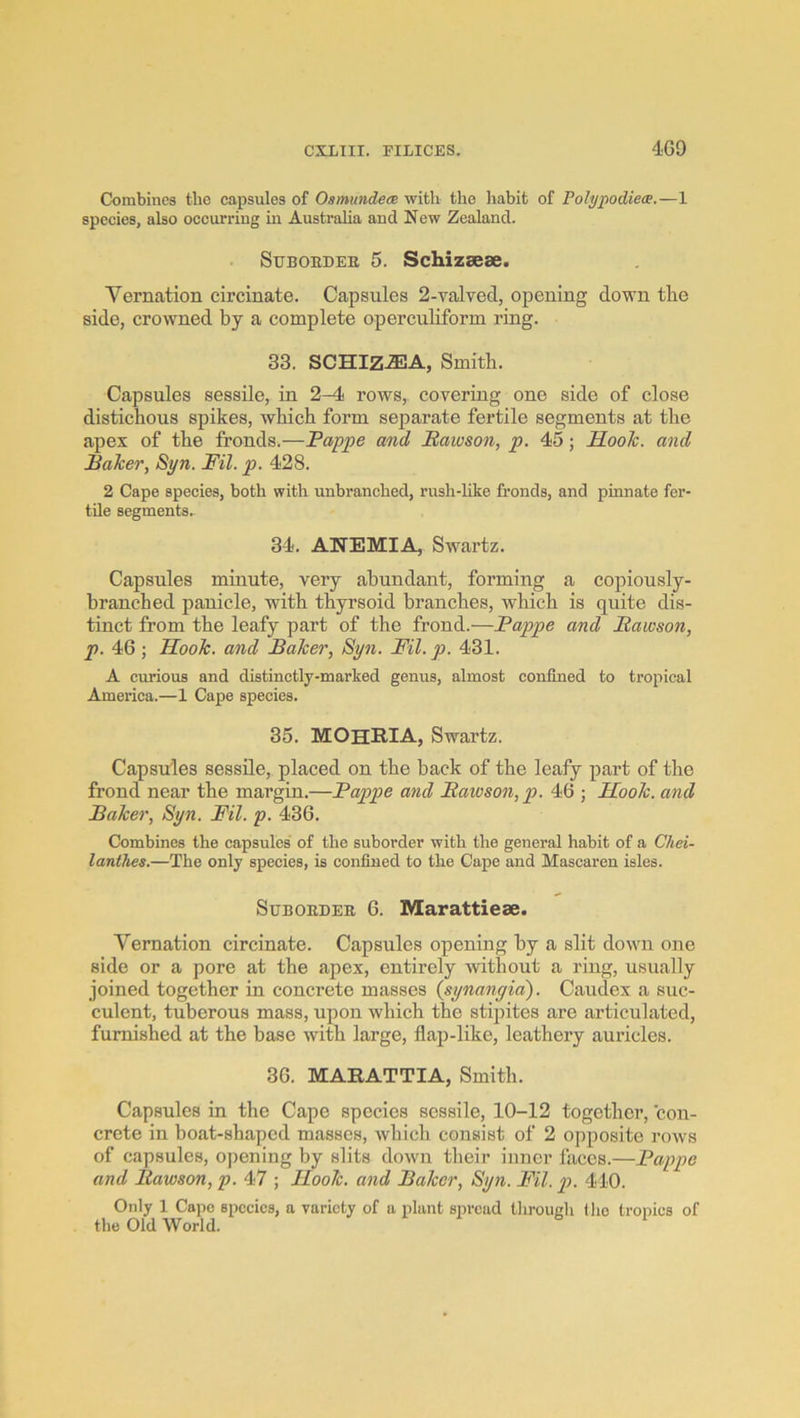 Combines the capsules of OsmundecB with the liabit of Polypocliece.—1 species, also occurring in Australia and New Zealand. . Sttboedee 5. Schizaese. Vernation circinate. Capsules 2-valved, opening down tlie side, crowned by a complete operculiform ring. 33. SCHIZ^A, Smith. Capsules sessile, in 2-4 rows, covering one side of close distichous spikes, which form separate fertile segments at the apex of the fronds.—Pappe and Pawson, p. 45; Hook, and Baker, Syn. Pil. p. 428. 2 Cape species, both with unbranched, rush-like fronds, and pinnate fer- tile segments. 34. ANEMIA, Swartz. Capsules minute, very abundant, forming a copiously- branched panicle, with thyrsoid branches, which is quite dis- tinct from the leafy part of the frond.—Pappe and Paioson, p. 46 ; Hook, and Baker, Syn. Pil. p. 431. A curious and distinctly-marked genus, almost confined to tropical America.—1 Cape species. 35. MOhRIA, Swartz. Capsules sessile, placed on the back of the leafy part of the frond near the margin.—Pappe and Bawson, p. 46 ; Hook, and Baker, Syn. Pil. p. 436. Combines the capsules' of the suborder with the general habit of a Chei- lanthes.—The only species, is confined to the Cape and Mascaren isles. SuBOEDEE 6. Marattieae. Vernation circinate. Capsules opening by a slit down one side or a pore at the apex, entirely without a ring, usually joined together in concrete masses (synangia). Caudex a suc- culent, tuberous mass, upon which the stipites are articulated, furnished at the base with large, flap-like, leathery auricles. 36. MARATTIA, Smith. Capsules in the Cape species sessile, 10-12 together, 'con- crete in boat-shaped masses, which consist of 2 opposite rows of capsules, opening by slits down their inner faces.—Pappe and Bawson, p. 47 ; Hook, and Baker, Syn. Pil. p. 410. Only 1 Cape species, a variety of a plant spread tlirouch the tropics of the Old World.