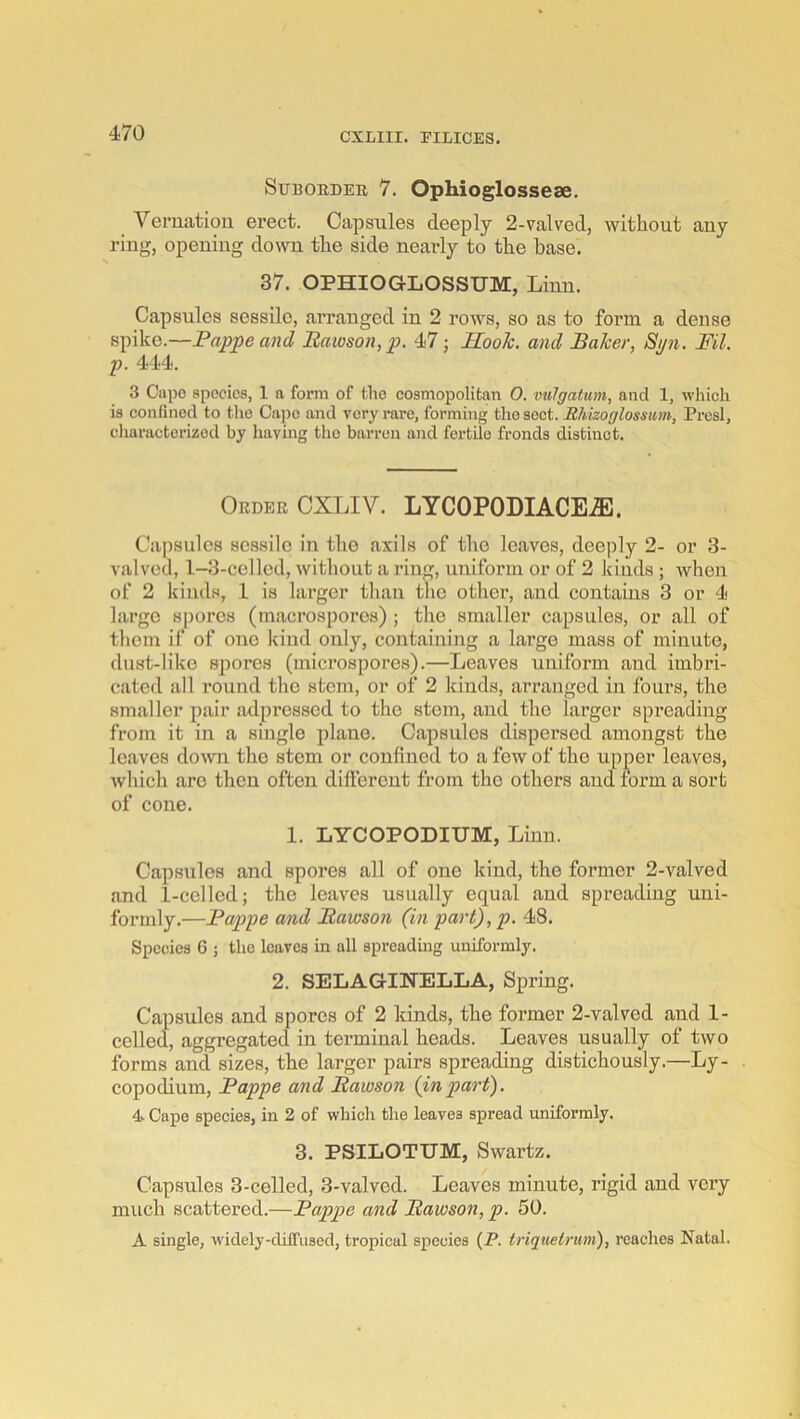 SuBOEDER 7. Ophioglossese. Veriiatiou erect. Capsules deeply 2-valved, without any riug, opening down the side neaidy to the base. 37. OPHIOGLOSSUM, Linn. Capsules sessile, arranged in 2 rows, so as to form a dense spike.—Pappeand Bawson,p. 47; Hook, and Baker, Sm. Fil. p. 444. 3 Capo species, 1 a form of the eosmopoHtan 0. imlgatum, and 1, which is confined to the Ca))o and very rare, forming the sect. Rhizoglossum, Presl, cliaractcrizod by Iiaving the barren and fertile fronds distinct. Order CXLIV. LYCOPODIACE.®. Capsules sessile in the axils of the loaves, deeply 2- or 3- valved, 1-3-cellod, without a ring, uniform or of 2 kinds ; when of 2 kinds, 1 is larger than the other, and contains 3 or 4 large spores (macrosporos) ; the smaller capsules, or all of them if of one kind only, containing a largo mass of minute, dnst-liko spores (microspores).—Leaves uniform and imbri- cated all round the stem, or of 2 kinds, arranged in fours, the smaller pair adpresscd to the stem, and the larger spreading from it in a single plane. Capsules dispersed amongst the leaves doAvn the stem or confined to a few of the upj)er leaves, which are then often different from the others and form a sort of cone. 1. LYCOPODIUM, Linn. Capsules and spores all of one kind, the former 2-valved and 1-celled; the leaves usually equal and spi’eading uni- formly.—Pappe and Bawson (in part),p. 48. Species 6 j the leaves in all spreading uniformly. 2. SELAGINELLA, Spring. Capsules and spores of 2 kinds, the former 2-valved and 1- celled, aggregated in terminal beads. Leaves usually of two forms and sizes, the larger pairs spreading distichously.—Ly- copodinm, Pappe and Bawson (inpart). 4 Cape species, in 2 of which the leaves spread uniformly. 3. PSILOTUM, Swartz. Capsnles 3-celled, 3-valved. Leaves minute, rigid and very much scattered.—Pappe and Bawson, p. 50. A single, widely-diffused, tropical species (P. triquetrum), reaches Natal.