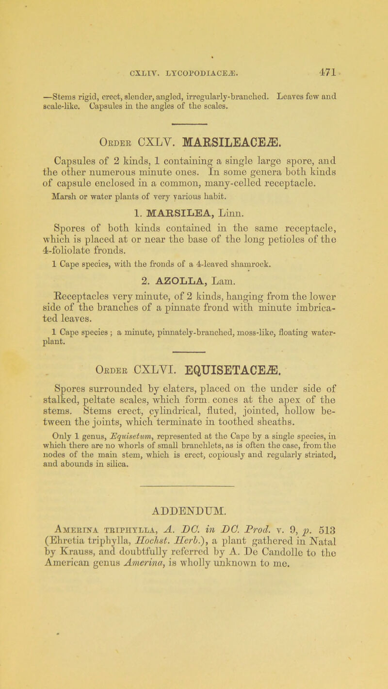 —Stems rigid, erect, slender, angled, irregularly-branched. Leaves few and scale-like. Capsules in the angles of the scales. Oedee cxlv. MARSILEACE^. Capsules of 2 kinds, 1 containing a single large spore, and the other numerous minute ones. In some genera both kinds of capsule enclosed in a common, many-celled receptacle. Marsh or water plants of very various habit. 1. MARSILEA, Linn. Spores of both kinds contained in the same receptacle, which is placed at or near the base of the long petioles of the 4-foliolate fronds. 1 Cape species, with the fronds of a 4-leaved shamrock. 2. AZOLLA, Lam. Receptacles very minute, of 2 kinds, hanging from the lower side of the branches of a pinnate frond with minute imbrica- ted leaves. 1 Cape species ; a minute, pumately-branched, moss-like, floating water- plant. Oedee CXLVI. EQUISETACEJE. Spores surrounded by elaters, placed on the under side of stalked, peltate scales, which form, cones at the apex of the stems. Stems erect, cylindrical, fluted, jointed, hollow be- tween the joints, which terminate hi toothed sheaths. Only 1 genus, JEquisetum, represented at the Cape by a single species, in which there are no whorls of small branchlets, as is often the case, from the nodes of the main stem, which is erect, copiously and regularly striated, and abounds in silica. ADDENDUM. Ameeina teipiiylla, a. DC. in DC. Prod. v. 9, p. 513 (Ehretia triphylla, Hoclist. Uerh.), a plant gathered in Natal by Krauss, and doubtfully referred by A. De Candolle to the American genus Amerina, is wholly unknown to me.