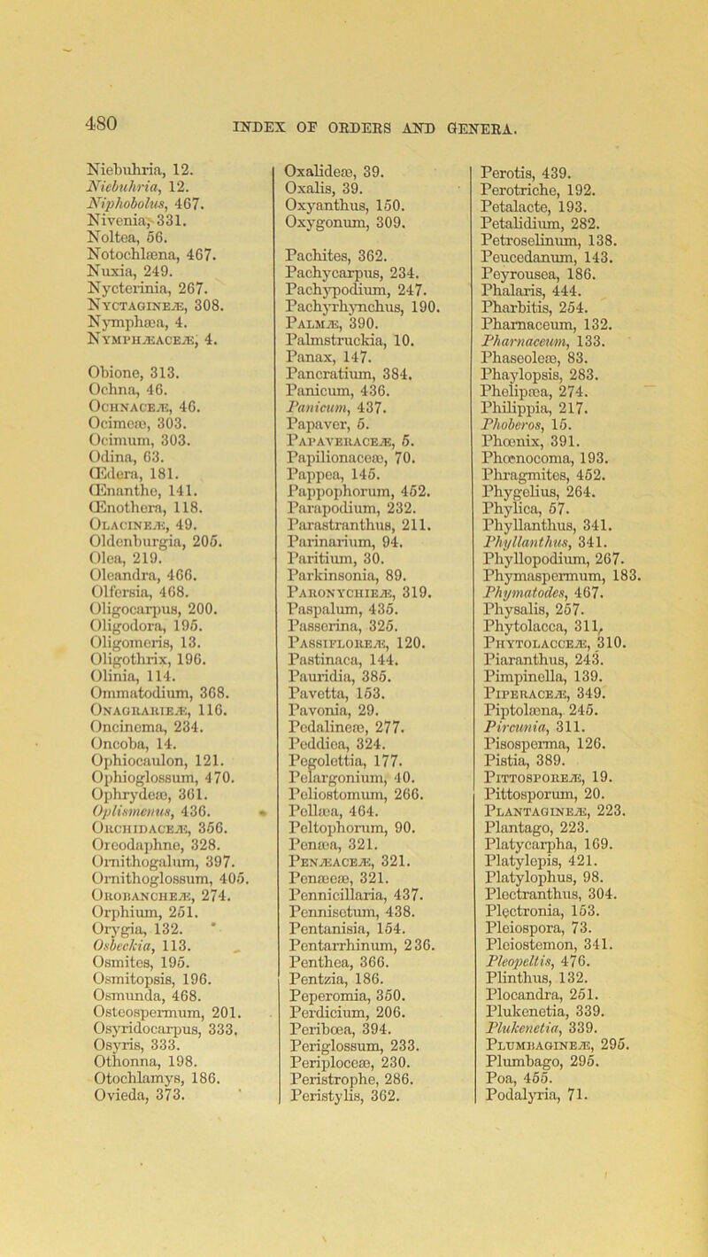 Niebiihria, 12. Niebuhria, 12. Niphobolm, 467. Nivenia^SSl. Noltea, 56. Notochla3na, 467. Nuxia, 249. Nycterinia, 267. Nyctagineje, 308. NjTnphajii, 4. Nymi>hajace.?e, 4. Obione, 313. Ochna, 46. Ochnacea;, 46. Ocimcju, 303. Oc'imum, 303. Odina, 63. Qildom, 181. Qinantho, 141. QCnothora, 118. Olacinea:, 49. Oldcnburgia, 206. Oloa, 219. Oleandra, 466. Olfersia, 408. Oligocaqnia, 200. Oligodora, 196. Oligomoris, 13. Oligothrix, 196. Olinia, 114. Ommatodium, 368. Onaohaiuea;, 110. Oncinoma, 234. Oncoba, 14. Ophiocaulon, 121. Ophioglossum, 470. Opbrydeo), 361. Oplinmoms, 436. OuCHIDACEA!, 366. Oreodajdmo, 328. Omithogalum, 397. Oniithoglossum, 405. OuoitANCHEAi, 274. Oi-phium, 261. Orj-gia, 132. Onbeclcia, 113. Osmites, 195. Osinitopsis, 196. Osmunda, 468. Osteospennum, 201. OsjTidocaqDUs, 333. Osyris, 333. Othonna, 198. Otochlamys, 186. Ovieda, 373. Oxalideaj, 39. Oxalis, 39. Oxj^antbus, 150. Oxygonum, 309. Pacbites, 362. Pachycarpns, 234. PachjT>o(iiuin, 247. PachjThjTicbus, 190. PALMAi, 390. Palmstruclda, 10. Panax, 147. Pancratium, 384. Panicum, 436. Fanimm^ 437. Papaver, 6. PaeaveiiacejE, 6. Papilionacco), 70. Pappca, 145. Pappophorum, 462, Parapodium, 232. Pai’astranthuB, 211. Parinarium, 94. Paritium, 30. Parkinsonia, 89. PAnONYClIIEAi, 319. Paspalum, 436. Passcrina, 325. Passiflouea';, 120. Pastinaca, 144. Pauridia, 386. Pavetta, 163. Pavonia, 29. Podalineaj, 277. I’cddioa, 324. Pegolottia, 177. Pelargonium, 40. Pcliostornmn, 266. Polla;a, 464. Peltophorum, 90. Penuja, 321. PENAiACEAJ, 321. Pona3oaB, 321. Pennicillaria, 437. Pennisotum, 438. Pentaniaia, 164. Pontarrhinum, 236. Penthea, 366. Pentzia, 186. Peperomia, 360. Perdicium, 206. Periboea, 394. Periglossum, 233. PeriplocefB, 230. Periatrophe, 286. Periatylia, 362. Perotia, 439. Perotriche, 192. Petalacte, 193. Petalidimn, 282. Petroselinum, 138. Peucedanum, 143. Peyrousea, 186. Phalaris, 444. Pbarbitia, 264. Phamaceum, 132. Fharnaceum, 133. Phaaeoleas, 83. Pbaylopaia, 283. Pboliprea, 274. Pliilippia, 217. Fkoberos, 15. Phoenix, 391. Phoenocoma, 193. Phragmitea, 462. Phygeliua, 264. Phylica, 67. Phyllanthua, 341. FhyUmthus, 341. Phyllopodium, 267. Phymaapermum, 183. Phymatodes, 467. Phyaalia, 267. Phytolacca, 311^ PuYTOLACCEAi, 310. Piaranthua, 243. Pimpinella, 139. PiPERACEAJ, 349. Piptolaona, 245. Pircunia, 311. Piaoaporma, 126. Piatia, 389. PlTT08P0UEA3, 19. Pittoaporum, 20. Plantagineaj, 223. Plantago, 223. Platycarpha, 169. Platylepia, 421. Platylophua, 98. Plectranthiia, 304. Plcctronia, 163. Pleioapora, 73. Pleioatemon, 341. Pleopeltis, 476. Plinthua, 132. Plocandra, 251. Plukenetia, 339. Plulcojetia, 339. Plumeagineas, 296. Plumbago, 296. Poa, 465. Podalyria, 71.