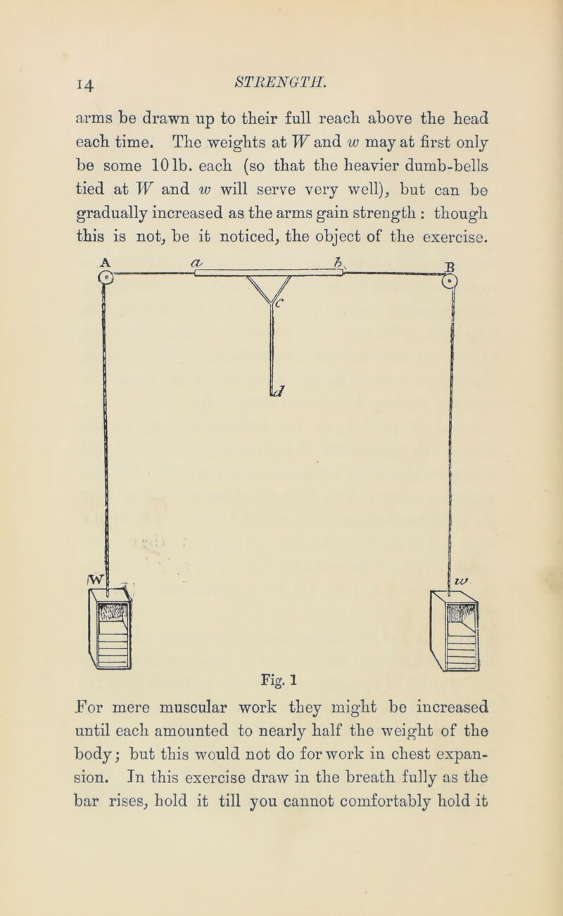 H arms be drawn up to their full reach above the head each time. The weights at W and w may at first only be some 101b. each (so that the heavier dumb-bells tied at W and w will serve very well)^ but can be gradually increased as the arms gain strength : though this is not, be it noticed, the object of the exercise. Tor mere muscular work they might be increased until each amounted to nearly half the weight of the body; but this would not do for work in chest expan- sion. In this exercise draw in the breath fully as the bar rises, hold it till you cannot comfortably hold it