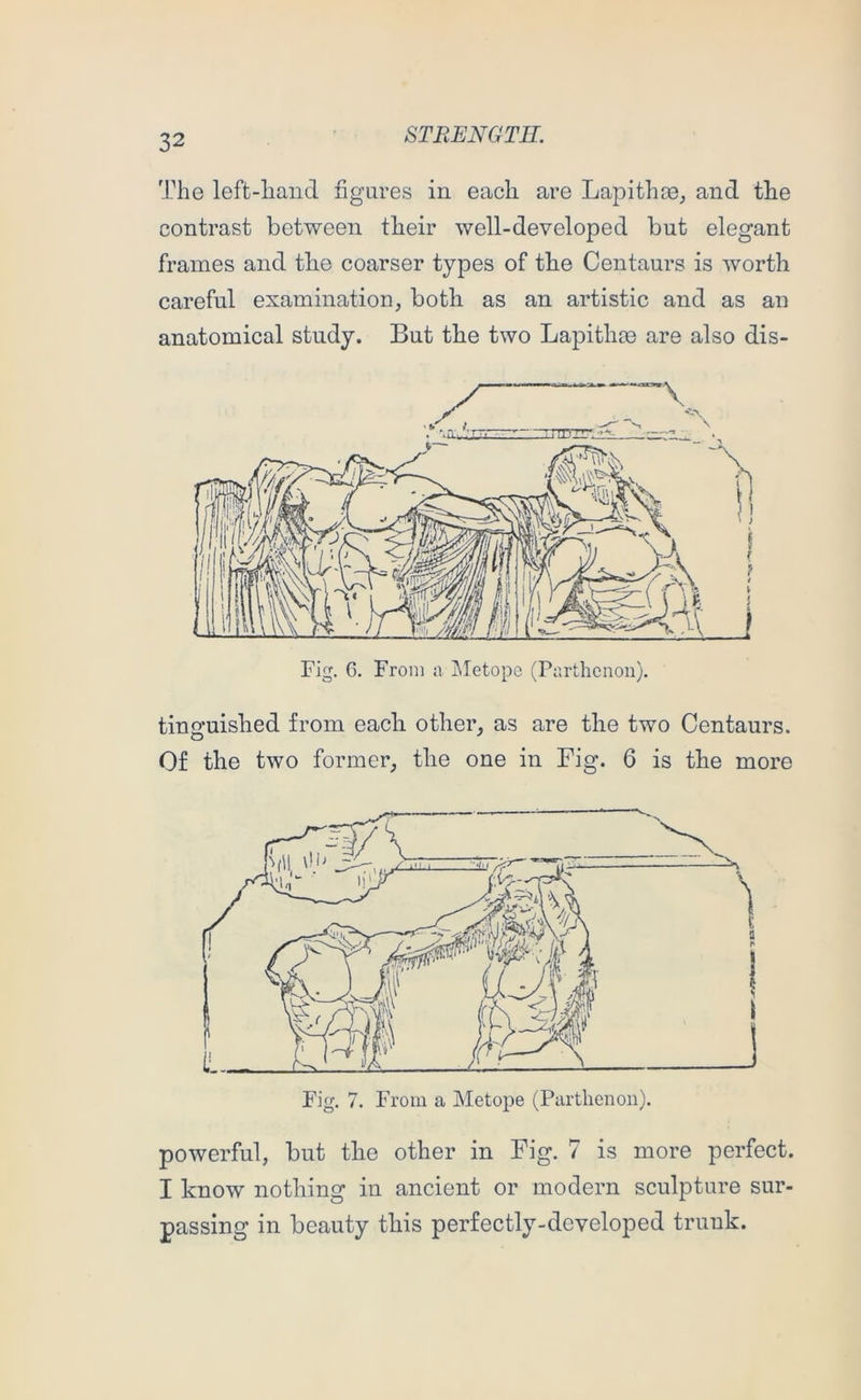 The left-liand figures in each are Lapithoc, and tlie contrast between their well-developed but elegant frames and the coarser types of tbe Centaurs is worth careful examination, both as an artistic and as an anatomical study. But the two Lapithte are also dis- tinguished from each other, as are the two Centaurs. Of the two former, the one in Fig. 6 is the more powerful, but the other in Fig. 7 is more perfect. I know nothing in ancient or modern sculpture sur- passing in beauty this perfectly-developed trunk.