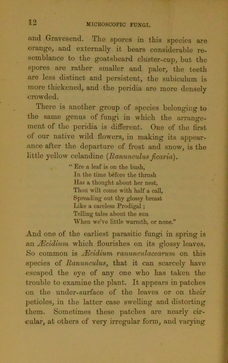 and Gravesend. Tlie spores in tliis species are orange, and externally it bears considerable re- semblance to the goatsbeard cluster-cup, but the spores are rather smaller and paler, the teeth are less distinct and persistent, the subiculum is more thickened, and the peridia are more densely -crowded. There is another group of species belonging to the same genus of fungi in which the arrange- ment of the peridia is different. One of the first of our native wild flowers, in making its appear- ance after the departure of frost and snow, is the little yellow celandine {Ranunculus jicaria). “ Ere a leaf is on the bush, In the time before the thrush Hits a thought about her nest, Thou wilt come with lialf a call. Spreading out thy glossy breast Like a careless Prodigal; Telling tales about the sun When we’ve little warmth, or none.” And one of the earliest parasitic fungi in spring is an jEcidium which flourishes on its glossy leaves. So common is ^cidium ranunculaceanwi on this species of Ranunculus, that it can scarcely have escaped the eye of any one who has taken the trouble to examine the plant. It appears in patches on the under-surface of the leaves or on their petioles, in the latter case swelling and distorting them. Sometimes these patches are nearly cir- cular, at others of veiy irregular form, and varying