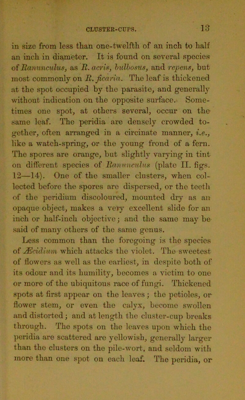 in size from less than one-twelffcli of an inch to half an inch in diameter. It is found on several species of Ranunculus, as R. acris, hulhosus, and repens, but most commonly on R. Jicarla. The leaf is thickened at the spot occupied by the parasite, and generally without indication on the opposite surface. Some- times one spot, at others several, occur on the same leaf. The peridia are densely crowded to- gether, often arranged in a circinate manner, i.e,, like a watch-spring, or the young frond of a fern. The spores are orange, but slightly varying in tint on different species of Rn)wncuh(.'< (plate II. figs. 12—14). One of the smaller clusters, when col- lected before the spores are dispersed, or the teeth of the peridium discoloured, mounted dry as an opaque object, makes a very excellent slide for an inch or half-inch objective; and the same may be said of many others of the same gCTius. Less common than the foregoing is the species of JEnd'nim which attacks the violet. The sweetest of flowers as well as the earliest, in despite both ol’ its odour and its humility, becomes a victim to one or more of the ubiquitous race of fungi. Thickened spots at first appear on the leaves ; the petioles, or flower stem, or even the calyx, become swollen and distorted; and at length the cluster-cup breaks through. The spots on the leaves upon which the peridia are scattered arc yellowish, gcjierally lai’ger than the clusters on the pile-wort, aud seldom with more than one spot on each leaf. The peridia, or