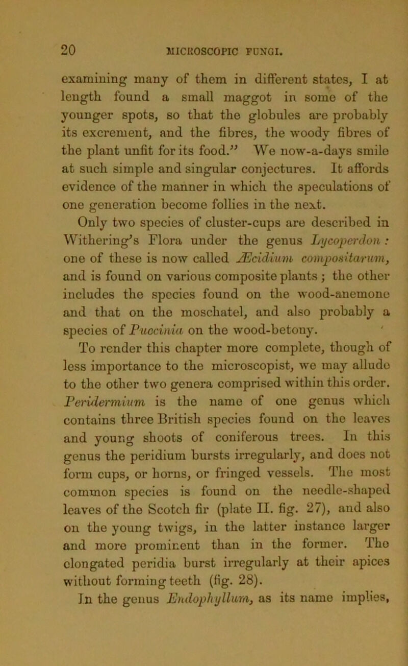 examining many of them in different states, I at length found a small maggot in some of the younger spots, so that the globules are probably its excrement, and the fibres, the woody fibres of the plant unfit for its food.” We now-a-days smile at such simple and singular conjectures. It afibrds evidence of the manner in which the speculations of one generation become follies in the next. Only two species of cluster-cups are described in Withering’s Flora under the genus Lijcopenloii: one of these is now called JEcidium compoaitarum, and is found on various composite plants ; the other includes the species found on the wood-anemone and that on the moschatel, and also probably a species of Puccinia on the wood-betony. To render this chapter more complete, though of less importance to the microscopist, we may allude to the other two genera comprised within this order. Pervlermium is the name of one genus which contains three British species found on the leaves and young shoots of coniferous trees. In this genus the peridium bursts irregularly, and does not form cups, or horns, or fringed vessels. The most common species is found on the needlc-.shaped leaves of the Scotch fir (plate II. fig. 27), and also on the young twigs, in the latter instance larger and more prominent than in the former. Tho elongated peridia burst in*egularly at their apices without forming teeth (fig. 28). In the genus Endophyllura, as its name implies,