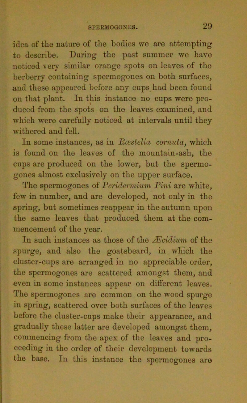idea of tlie nature of tlie bodies we are attempting to describe. During the past summer we have noticed very similar orange spots on leaves of the berberry containing spermogones on both surfaces, and these appeared before any cups had been found on that plant. In this instance no cups were pro- duced from the spots on the leaves examined, and which were carefully noticed at intervals until they withered and fell. In some instances, as in Rccstelia cormita, which is found on the leaves of the mountain-ash, the cups are produced on the lower, but the spermo- gones almost exclusively on the upper surface. The spermogones of Peridermium Pini are white, few in number, and are developed, not only in the spring, but sometimes reappear in the autumn upon the same leaves that produced them at the com- mencement of the year. In such instances as those of the JEcidium of the spurge, and also the goatsbeard, in which the cluster-cups are arranged in no appreciable order, the spermogones are scattered amongst them, and even in some instances appear on different leaves. The spermogones are common on the wood spurge in spring, scattered over both surfaces of the leaves before the cluster-cups make their appearance, and gradually these latter are developed amongst them, commencing from the apex of the leaves and pro- ceeding in the order of their development towards the base. In this instance the spermogones are