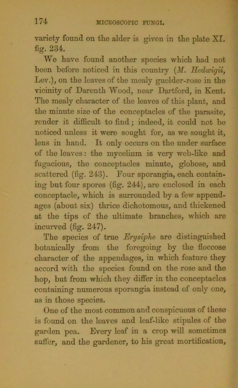 variety found on the alder is given in the plate XI. fig. 234. We have found another species which had not been before noticed in this country {M. IIedu>igii, Lev.), on the leaves of the mealy guelder-rose in the vicinity of Darenth Wood, near Dartford, in Kent. The mealy character of the leaves of this plant, and the minute size of the conceptacles of the parasite, render it difficult to find; indeed, it could not be noticed unless it were sought for, as we sought it, lens in hand. It only occurs on the under surface of the leaves: the mycelium is very web-Hke and fugacious, the conceptacles minute, globose, and scattered (fig. 243). Four sporangia, each contain- ing but four spores (fig. 244), are enclosed in each conceptacle, which is surrounded by a few append- ages (about six) thrice dichotomous, and thickened at the tips of the ultimate branches, which are incurved (fig. 247). The species of true Erysiphe are distinguished botanically from the foregoing by the floccose character of the appendages, in which feature they accord with the species found on the rose and the hop, but from which they differ in the conceptacles containing numerous sporangia instead of only one, as in those species. One of the most common and conspicuous of these is found on the leaves and leaf-like stipules of the garden pea. Every leaf in a crop will sometimes suffer, and the gardener, to his great mortification.