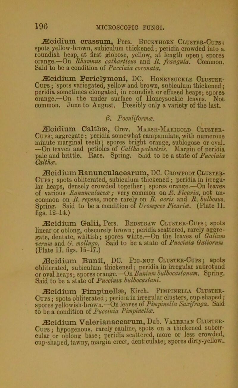 19G ^cidium crassum, Pcrs. Buckthobn Clustee-Cups ; spots yellow-brown, subiculum thickened; peridia crowded into a roundish heap, at first globose, yellow, at length open; spores orange.—On EJtamnus catharticus and R. frangula. Oaminon. Said to be a condition of Puccinia coronata. .Ecidium Periclymeni, DC. Honeysuckle Cluster- Cups ; spots variegated, yellow and brown, subiculum thickened; peridia sometimes elongated, in roundish or effused heaps; spores orange.—On the under surface of Honeysuckle leaves. Not common. June to August. Possibly only a variety of the last. /3. PoculifornuB. .fficidium Calthae, Grev. Marsh-Marigold Cluster- Cups; aggregate; peridia somewhat campauulate, with numerous minute marginal teeth: spores bright orange, sublogose or oval. —On leaves and petioles of Calthapnlustris. Margin of peridia pale and brittle. Hare. Spring, baid to be a state of Puccinia Caltha. iEcidium Hanunculacearum, DC. Crowfoot Cluster Cups; spots obliterated, subiculum thickened; peridia in irregu- lar heaps, densely crowded together; spores orange.—On leaves of various Ranunculacece; very common on R. Ficaria, not un- common on R. rewns, more rarely on R. acris and R. bulbosus. Spring. Said to be a condition of Uromyces Ficaria. (Plate 11. figs. 12-14.) iEcidium Galii, Pers. Bedstraw Cluster-Cups; spots linear or oblong, obscurely brown; peridia scattered, rarely aggre- gate, dentate, whitish; spores white.—On the leaves of Galium verum and G. mollvgo. Said to be a state of Puccinia Galiorum (Plate II. figs. 15-17.) .fficidium Bunii, DC. Pig-nut Cluster-Cups; spots obliterated, subiculum thickened; peridia in irregular subrotund or oval heaps; spores orange.—On Bunium bulbocastanum. Spring. Said to be a state of Puccinia bulbocastani. .Scidium Pimpinellce, Kirch. Pimpinella Cluster- Cups ; spots obliterated; peridia in irregular clusters, cup-shaped - spores yellowish-brown.—On leaves of Pimpinella Saxifraga. Said to be a condition of Puccinia Pimpinella. -iEcidium Valerianacearum, Dub. Valerian Cluster- Cups ; hypogenous. rarely cauline, spots on a thickened suteir- cular or oblong base; peridia scattered, more or less crowded, cup-shaped, tawny, margin erect, denticulate; spores dirty-yellow.