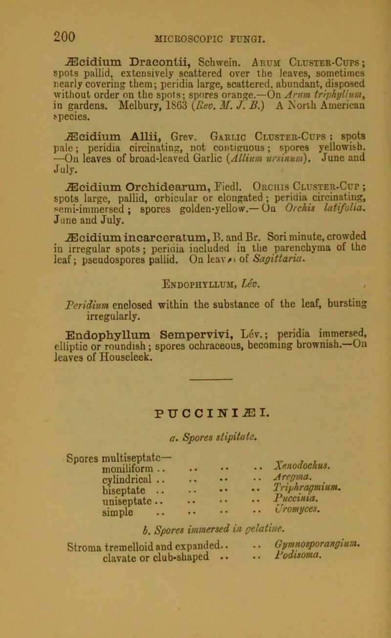 jEeidium Dracontii, Schwein. Aeum Cluster-Cups; spots pallid, extensively scattered over the leaves, sometimes nearly covering them; peridia large, scattered, abundant, disposed without order on the spots; spores orange.—On Arum trlphyllum, in gardens. Melbury, 1863 {Rev, M. J. B.) A Korlh American species. .fflcidium Allii, Grev. Garlic Cluster-Cups ; spots pale; peridia circinating, not contiguous; spores yellowish. —On leaves of broad-leaved Garlic {Allium ursinum). June and July. JEcidium Orchidearum, Tiedl. Orchis Cluster-Cup ; spots large, pallid, orbicular or elongated; peridia circinating, semi-immersed ; spores golden-yellow.— On Orchis latifolia. June and July. ^cidium incarceratum, B, and Br, Sori minute, crowded in irregular spots; peridia included in the parenchyma of the leaf; pseudospores pallid. On leawt of Sagittaria. Endophyllum, Lev. , Peridium enclosed within the substance of the leaf, bursting irregularly. Endophyllum Sempervivi, Lev.; peridia immersed, elliptic or roundish; spores ochraceous, becoming brownish.—On leaves of Houseleek. PUCCINIAi]!. a. Spores stipitate. Spores multiseptatc— moniliform .. cylindrical .. biseptate .. uniseptate.. simple .. Xenodochus. .. Aregma. .. Triphragmium. .. Puccinia. .. Uromyces. b. Spores immersed in gclntiue. Stroma tremelloid and expanded.. • • Gynmosporangium. clavate or club-shaped • • • • Podisoma.