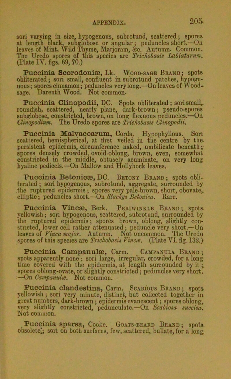 205> sori varying in size, liypogenous, subrotund, scattered; spores at length black, subglobose or angular; peduncles short.—On leaves of Mint, Wild Thyme, hlarjoram, &c. Autumn. Common. The Uredo spores of this species are Trichobasis Labiatarum. (Plate IV. figs. 69, 70.) Puccinia Scorodonite, Lk. Wood-sage Brand ; spots obliterated; sori small, confluent in subrotund patches, nypoge- iious; spores cinnamon; peduncles very long.—On leaves of VVood- sage. Darenth Wood. Not common. Puccinia Clinopodii, DC. Spots obliterated; sori small, roundish, scattered, nearly plane, dark-brown; pseudo-spores subglobose, constricted, brown, on long llexuous peduncles.—On Clxnapodium. The Uredo spores are Trichobasis Clinopodii. Puccinia Malvacearum, Corda. Hypophyllous. Son scattered, hemispherical, at first veiled in the centre by the- persistent epidermis, circumference naked, umbilicate beneath; spores densely crowded, ovoid-oblong, brown, even, somewhat constricted in the middle, obtusely acuminate, on very long hyaline pedicels.—On Mallow and Hollyhock leaves. Puccinia Betonicae, DC. Betony Brand ; spots obli- terated ; sori hypogenous, subrotund, aggregate, surrounded by the ruptured epidermis ; spores very pale-brown, short, obovate,. elliptic; peduncles short.—On Stachys Betonica. Hare. Puccinia Vincse, Berk. Periwinkle Brand; spofa yellowish; sori hypogenous, scattered, subrotund, surrounded by the ruptured epidermis; spores brown, oblong, slightly con- stricted, lower cell rather attenuated ; peduncle very short.-On oi Vinca major. Autumn. Not uncommon. The Uredo spores of this species are Trichobasis Vinca. (Plate VI. fig. 132.) Puccinia Campanulse, Carm. Campanula Brand ; spots apparently none ; sori large, irregular, crowded, for a long time covered with the epidermis, at length surrounded by it;, spores oblong-ovate, or slightly constricted; peduncles very short. —On Campanula. Not common. Puccinia clandestina, Carm. Scabious Brand; spots yellowish; sori very minute, distinct, but collected together ia great numbers, dark-brown; epidermis evanescent; spores oblong, very slightly constricted, pedunculate.—On Scabiosa succisa. Not common. Puccinia sparsa, Cooke. Goats-beard Brand ; spots obsolete; sori on both surfaces, few, scattered, bullate, for a long