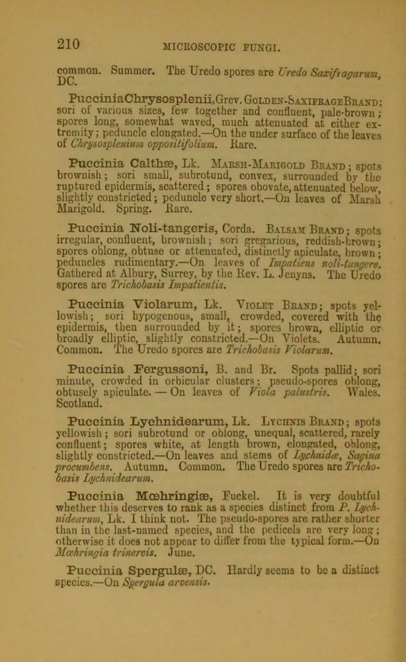common. Summer. The Uredo spores are Uredo Saxiftagarum, DC. * ^icciniaChrysospleniijGrev. Golden-SaxifrageBeand ; sori of various sizes, few together and confluent, paJe-brown; spores long, somewhat waved, much attenuated at either ex- tremity ; peduncle elongated.—On the under surface of the leaves of Chrj/sosplenum opposilifolium. Bare. Puceinia Calthse, Lk. Maesh-Marigold Brand ; spots brownish; sori small, subrotund, convex, surrounded by the ruptured epidermis, scattered; spores obovate, attenuated below, slightly constricted; peduncle very short.—On leaves of Marsli Marigold. Spring. Bare. Puceinia Noli-tangeris, Corda. Balsam Brand ; spots irregular, confluent, brownish; sori gregarious, reddish-brown; spores oblong, obtuse or attenuated, distinctly apiculate, brown; peduncles rudimentary.—On leaves of Impatiens noli-tangere. Gathered at Albury, Surrey, by the Bev. L. Jenyns, The Uredo spores arc Trichobasis Impatieniis. Puceinia Violarum, Lie. Violet Brand; spots yel- lowish; sori hypogenous, small, crowded, covered with th? epidermis, then surrounded by it; spores brown, elliptic or broadly elliptic, slightly constricted.—On Violets. Autumn. Common. The Uredo spores are Trichobasis Violarum. Puceinia Pergussoni, B. and Br. Spots pallid; sori minute, crowded in orbicular clusters; pseudo-spores oblong, obtusely apiculate. — On leaves of Viola palustris. Wales. Scotland. Puceinia Lychnidearum, Lk. Lychnis Brand ; spots yellowish; sori subrotund or oblong, unequal, scattered, rarely confluent; spores white, at length brown, elongated, oblong, slightly constricted.—On leaves and stems of Lychnidee, Sagina procumbens. Autumn. Common. The Uredo spores are Tricho- basis Lychnidearum. Puceinia MoehringisB, Fuckel. It is very doubtful whether this deserves to rank as a species distinct from P. Lych- nidearum, Lk. I think not. The pseudo-spores are rather shorter than in the last-named species, and the pedicels are very long; otherwise it does not appear to difier from the typical form.—On Maehringia trinervis. June. Puceinia Spergulse, DC. Hardly seems to be a distinct species.—On Spergulu arcensis.