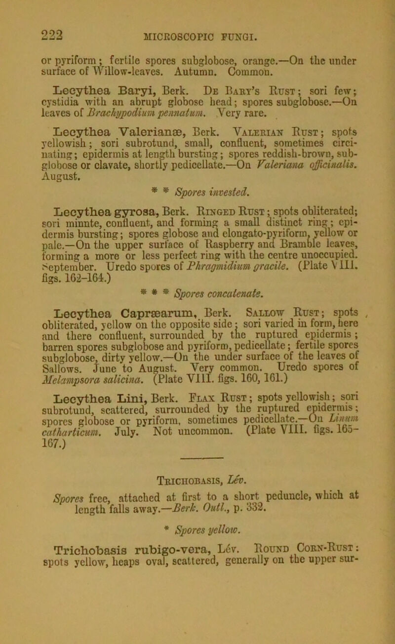 or iiyriform; fertile spores subglobose, orange.—On the under surface of Willow-leaves. Autumn. Common. Lecsrthea Baryi, Berk. De Baby’s Bust; sori few; cystidia with an abrupt globose head; spores subglobose.—On leaves of Brachypodium pennatum. Very rare. Leeythea Valerianae, Berk. Valeeian Rust; spots yellowish; sori subrotund, small, confluent, sometimes circi- nating; epidermis at length bursting; spores reddish-brown, sub- globose or clavate, shortly pedicellate.—On Valeriana qfflcinalis. August. * * Spores invested. Leeythea gyrosa, Berk. Ringed Rust ; spots obliterated; sori minnte, confluent, and forming a small distinct ring; epi- dermis bursting; spores globose and elongato-pyriform, ymlow or pale.—On the upper surface of Raspberry and Bramble leaves, forming a more or less perfect ring with the centre unoccupied, .''cptember. TJredo spores of Phragmidium gracile. (Plate V 111. figs. 162-16'i.) * * * Spores concatenate. Leeythea Capraearum, Berk. Saulow Rust; spots , obliterated, yellow on the opposite side; sori varied in form, here and there confluent, surrounded by the ruptured epidermis; barren spores subglobose and pyriform, pedicellate; fertile spores subglobose, dirty yellow.—On the under surface of the leaves of Sallows. June to August. Venr common. Uredo spores of Melampsora salicina. (Plate Vlll. figs. 160, IGl.) Leeythea Lini, Berk. Flax Rust ; spots yellowish; sori subrotund, scattered, surrounded by the ruptured ^idermis; spores globose or pyriform, sometimes pedicellate.—On catkarticum. July. Not uncommon. (Plate VIII. figs. 165- 167.) Teiciiobasis, Lev. Spores free, attached at first to a short peduncle, which at length falls away.—Berk. Outl., p. 332. • Spores yellow. Trichohasis mbigo-vera, L6v. Round Coen-Rust : spots yellow, heaps oval, scattered, generally on the upper sur-