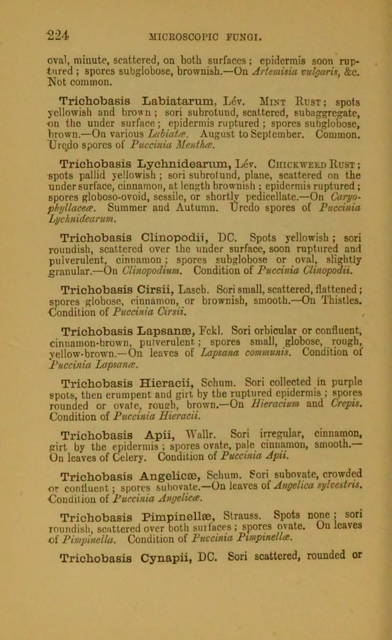 <12-i oval, minute, scattered, on both surfaees; epidermis soon rup- tured ; spores subglobose, brownish.—On Artemisia vulgaris, &c. Not common. Trichobasis Labiatarum, L6v. Mikt Rust; spots yellowish and brown ; sori subrotund, scattered, subaggregate, ■on the under surface; epidermis ruptured ; spores subglobose, brown.—On various August to September. Common. Urc^o spores of Puccinia Mentha;. Trichobasis Lychnideariim, L6v. Chickweed Rust ; spots pallid yellowish ; sori subrotund, plane, scattered on the undersurface, cinnamon, at length brownish ; epidermis ruptured; spores globoso-ovoid, sessile, or shortlv pedicellate.—On Caryo- phyllacece. Summer and Autumn. Urcdo spores of Puecinia Lychnidearum. Trichobasis Clinopodii, DC. Spots yellowish; sori roundish, scattered over the under surface, soon ruptured and pulverulent, cinnamon; spores subglobose or oval, slightly granular.—On Clinopodium. Condition of Puccinia Clinopoaii. Trichobasis Cirsii, Lasch. Sori small, scattered, flattened; spores globose, cinnamon, or brownish, smooth.—On Thistles. Oondition of Puccinia Cirsii. Trichobasis Lapsance, Fckl. Sori orbicular or confluent, cinnamon-brown, pulverulent; spores small, globose, rough, yellow-brown.—On leaves of Lapsana communis. Condition of Puccinia Lapsana:. Trichobasis Hieracii, Schum. Sori collected in purple spots, then erumpent and girt by the ruptured epidermis ; spores rounded or ovate^ roua’b, brown.—On Hieracium and Crepis. Condition of Puccinia Hieracii. Trichobasis Apii, Wallr. Sori irregular, cinnamon, girt by the epidermis ; spores ovate, pale cinnamon, smooth, bn leaves of Celery. Condition of Puccinia Apii. Trichobasis Angelicse, Schum. Sori subovate, crowded or confluent; spores subovate.—On leaves of Angelica sylvestris. Condiliou of Puccinia Angelica. Trichobasis Pimpinellss, Strauss. Spots none; sori roundish, scattered over both sui laces ; spores ovate. On leaves of Pimpinella. Condition of Puccinia Pmpinella. Trichobasis Cynapii, DC. Sori scattered, rounded or