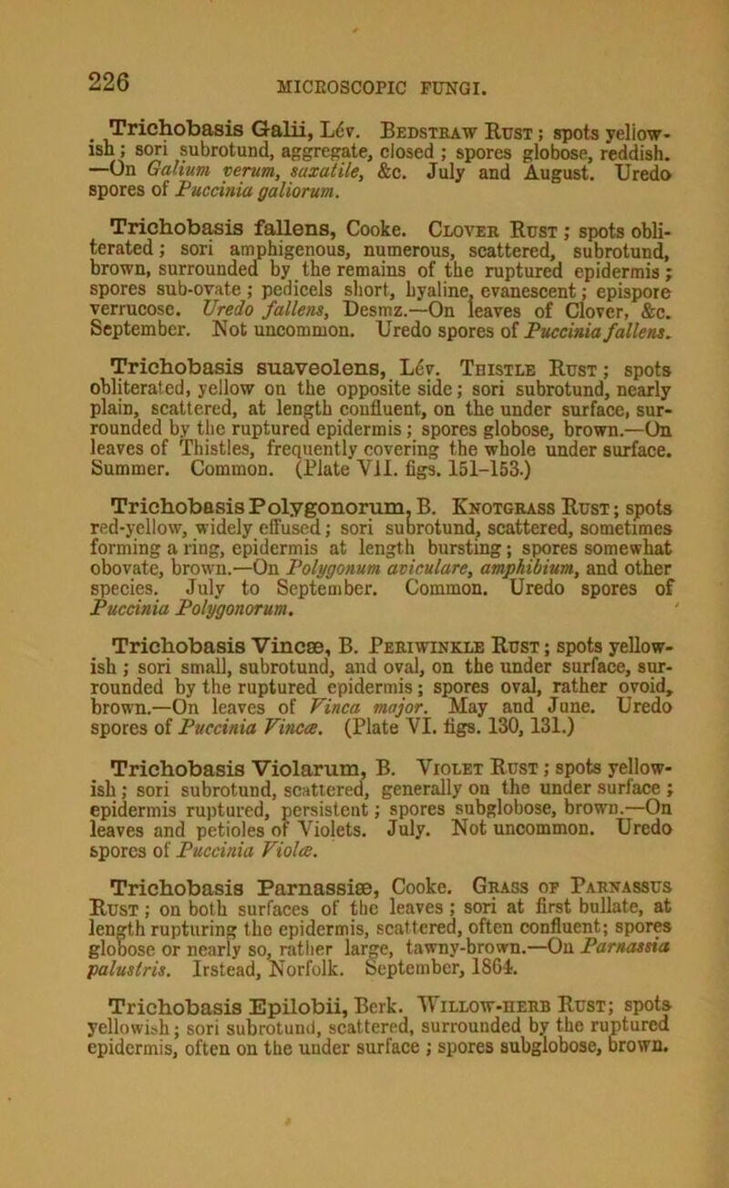 Tnchobasis Galii, L6v. Bedstbaw Rust ; spots yeliow- isn; sori pbrotund, aggregate, closed ; spores globose, reddish. —On Galium verum, saxatile, &c. July and August. Uredo spores of Fuccinia galiorum. Trichobasis fallens, Cooke. Clover Rust ; spots obli- terated ; sori amphigenous, numerous, scattered, subrotund, brown, surrounded by the remains of the ruptured epidermis; spores sub-ovate; pedicels short, hyaline, evanescent; epispore verrucosc. Uredo fallens, Desmz.—On leaves of Clover, &c. September. Not uncommon. Uredo spores of Puccinia fallens, Trichobasis suaveolens, Ldv. Thistle Rust; spots obliterated, yellow on the opposite side; sori subrotund, nearly plain, scattered, at length confluent, on the under surface, sur- rounded by the ruptured epidermis; spores globose, brown.—On leaves of Thistles, frequently covering the whole under surface, tiummer. Common. (Plate VII. figs. 151-153.) Trichobasis PolygononirQj B. Knotgrass Rust ; spots red-yellow, widely efiused; sori suorotund, scattered, sometimes forming a ring, epidermis at length bursting; spores somewhat obovate, brown.—On Polygonum aviculare, amphibium, and other species. July to September. Common. Uredo spores of Puccinia Polygonorum. Trichobasis Vincas, B. Periwinkle Rust ; spots yellow- ish ; sori small, subrotund, and oval, on the under surface, sur- rounded by the ruptured epidermis; spores oval, rather ovoid, brown.—On leaves of Vinca major. May and June. Uredo spores of Puccinia Vincce. (Plate VI. tigs. 130,131.) Trichobasis Violarmn, B. Violet Rust ; spots yellow- ish ; sori subrotund, scattered, generally on the under surface ; epidermis ruptured, persistent; spores subglobose, brown.—On leaves and petioles or Violets. July. Not uncommon. Uredo spores of Puccinia Viola. Trichobasis Parnassiae, Cooke. Grass of Parnassus Rust ; on both surfaces of the leaves ; sori at first bnllate, at length rupturin the epidermis, scattered, often confluent; spores globose or nearly so, rather large, tawny-brown.—On Parnassia palustris. Irstead, Norfolk. September, 1864. Trichobasis Epilobii, Berk. TVillow-uerb Rust; spots yellowish; sori subrotuiul, scattered, surrounded by the ruptured epidermis, often on the under surfaee ; spores subglobose, brown.