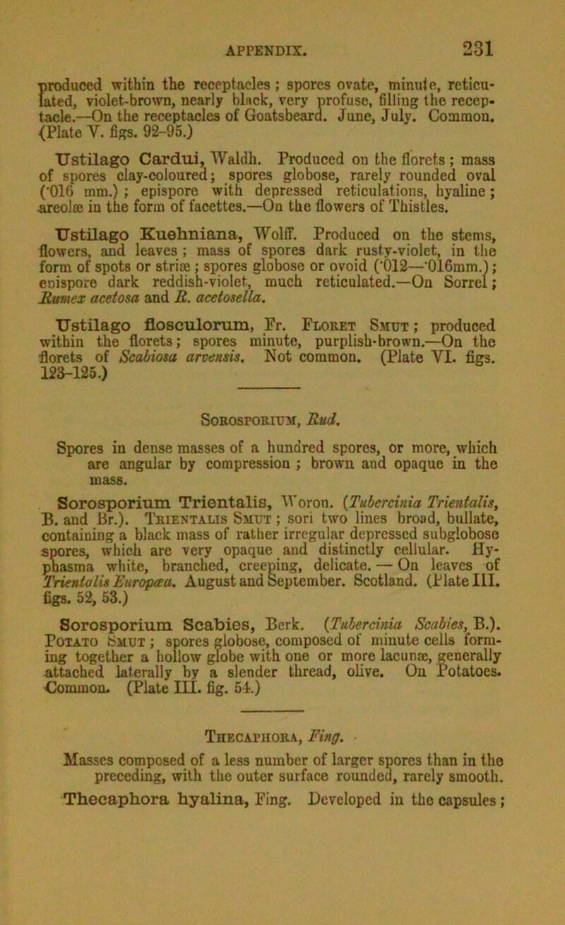 I)roduced within the receptacles ; spores ovate, minut e, reticu- ated, violet-brown, nearly black, very profuse, filling the recep- tacle.—On the receptacles of Goatsbeard. June, July. Common. (Plate V. figs. 92-95.3 TJstilago Cardui, Waldh. Produced on the florets; mass of spores clay-coloured; spores globose, rarely rounded oval (’016 mm.) ; epispore with depressed reticulations, hyaline; areolaj in the form of facettes.—On the flowers of Thistles. TJstilago Kuehniana, Wolff. Produced on the stems, flowers, and leaves ; mass of spores dark rusty-violet, in the form of spots or strice; spores globose or ovoid (‘012—'Olfimm.); enispore dark reddish-violet, much reticulated.—On Sorrel; Bumex acetosa and B. acetosella. TJstilago flosculorum, Fr. Floret Smut; produced within the florets; spores minute, purplish-brown.—On the florets of SeaMosa arvansis. Not common. (Plate VI. figs. 123-125.) SoEosroRiuM, Bud. Spores in dense masses of a hundred spores, or more, which are angular by compression ; brown and opaque in the mass. Sorosporium Trientalis, Woron. (Tubercinia Trientalts, B. and Hr.). Trientalis Smut ; sori two lines broad, bullate, containing a black mass of rather irregular depressed subgiobose spores, which are very opaque and distinctly cellular. Hy- phasma white, branched, creeping, delicate. — On leaves of TnentuUiBuropaa. August and September. Scotland. (Plate III. figs. 52, 53.3 Sorosporium Scabies, Berk. {Tulercinia Scabies, B.). Potato Smut ; spores globose, composed of minute cells form- ing together a hollow globe with one or more lacunae, generally attached laterally by a slender thread, olive. On Potatoes. Common. (Plate III. fig. 54.) Thecatiiora, Fing. Masses composed of a less number of larger spores than in the preceding, with the outer surface rounded, rarely smooth. Thecaphora hyalina, Fing. Developed in the capsules;