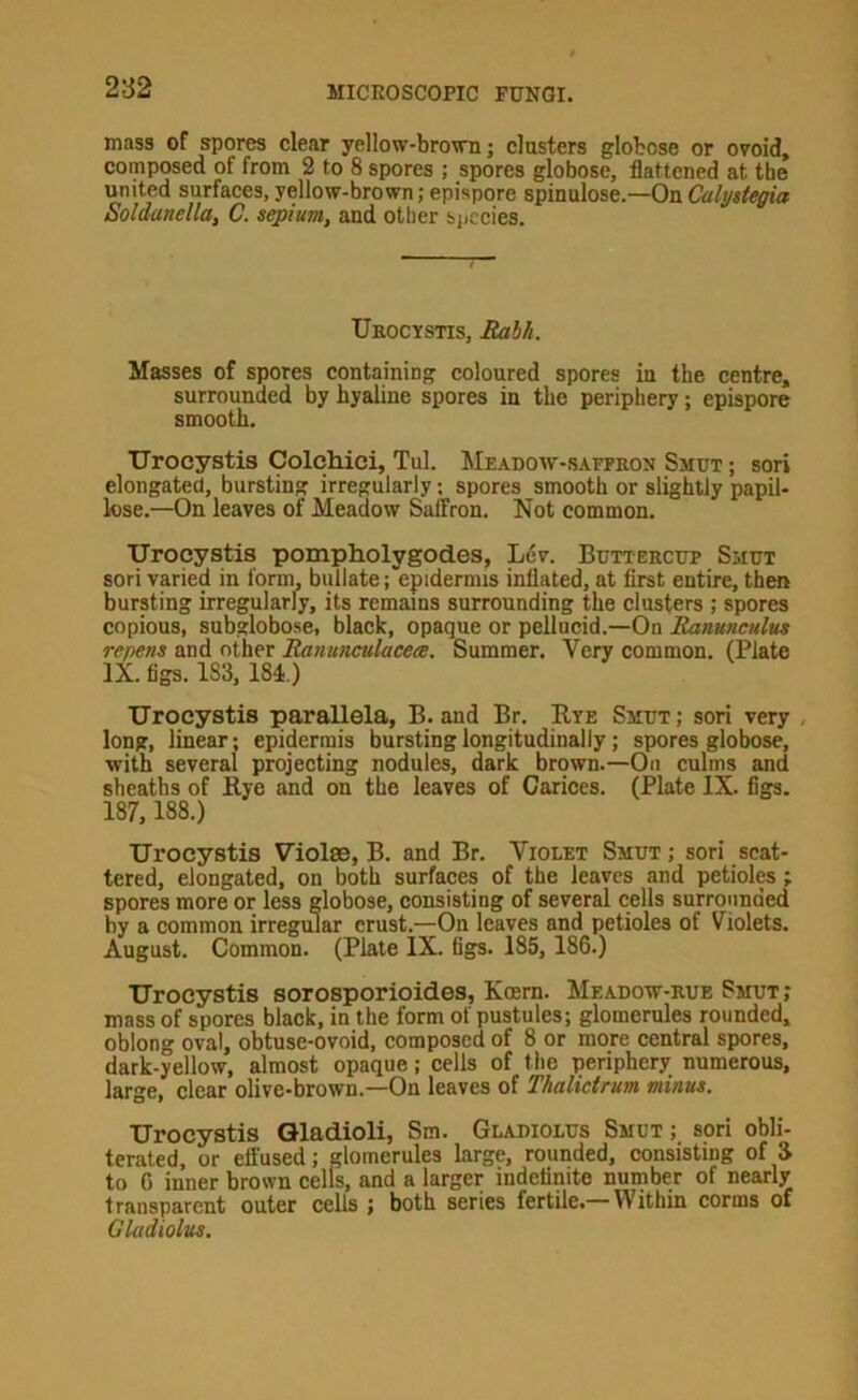 mass of spores clear yellow-bro\rn; clusters globose or ovoid, composed of from 2 to 8 spores ; spores globose, flattened at the united surfaces,yellow-brown;epispore spinulose.—OnCalystegia Soldanella, C. sepium, and other species. Ukocystis, Babh. Masses of spores containing coloured spores in the centre, surrounded by hyaline spores in the periphery; epispore smooth. Urocystis Colchici, Tul. Meadow-saffeon Smut ; sori elongated, bursting irregularly: spores smooth or slightly papil- lose.—On leaves of Meadow Saffron. Not common. Urocystis pompholygodes, L6v. Butieecup Smut sori varied in form, bullate;“epidermis inflated, at first entire, then bursting irregularly, its remains surrounding the clusters ; spores copious, subglobose, black, opaque or pellucid.—On Ranunculus repens and other Ranunculaceee. Summer. Very common. (Plate IX. figs. 183, 184.) Urocystis parallela, B. and Br. Eye Smut; sori very , long, linear; epidermis bursting longitudinally; spores globose, with several projecting nodules, dark brown.—On culms and sheaths of Rye and on the leaves of Carices. (Plate IX. figs. 187, 188.) Urocystis Violee, B. and Br. Violet Smut ; sori scat- tered, elongated, on both surfaces of the leaves and petioles ; spores more or less globose, consisting of several cells surrounded by a common irregular crust.—On leaves and petioles of Violets. August, (iommon. (Plate IX. figs. 185, 186.) Urocystis sorosporioides, Koem. Meadow-eue Smut; mass of spores black, in the form of pustules; glomerules rounded, oblong oval, obtuse-ovoid, composed of 8 or more central spores, dark-yellow, almost opaque; cells of tlie periphery numerous, large, clear olive-brown.—On leaves of Thalictrum minus. Urocystis Gladioli, Sm. Gladiolus Smut; sori obli- terated, or effused; glomerules large, rounded, consisting of S to 6 inner brown cells, and a larger indefinite number of nearly transparent outer cells ; both series fertile.—Within corms of Gladiolus.