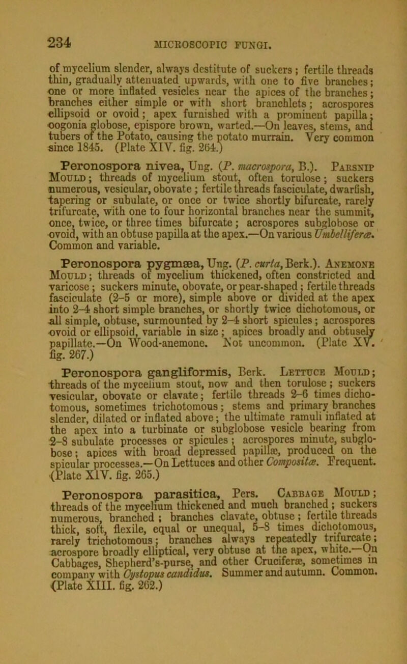 of mycelium slender, always destitute of suckers ; fertile threads thin, gradually attenuated upwards, with one to five branches; one or more inflated vesicles near the apices of the branches; branches either simple or with short branchlets; acrospores ellipsoid or ovoid; apex furnished with a prominent papilla: oogonia globose, epispore brown, warted.—On leaves, stems, ana tubers of the Potato, causing the potato murrain. Very common since 1845. (Plate XIV. fig. 2B4.) Peronospora nivea, Ung. (P. macrospora, B.). Parsmp Mould ; threads of mycelium stout, often torulose; suckers numerous, vesicular, obovate; fertile tnreads fasciculate, dwarfish, tapering or subulate, or once or twice shortly bifurcate, rarely trifurcate, with one to four horizontal branches near the summit, once, twice, or three times bifurcate; acrospores subglobose or ovoid, with an obtuse papilla at the apex.—On various UmbellifercB. Common and variable. Peronospora pygmsea, Ung. (P.cwr^a, Berk.). Anemone Mould ; threads ot mycelium thickened, often constricted and varicose; suckers minute, obovate, or pear-shaped: fertile threads fasciculate (2-5 or more), simple above or divided at the apex into 2-4 short simple branches, or shortly twice dichotomous, or nil simple, obtuse, surmounted by 2-4 short spicules; acrospores ovoid or ellipsoid, variable in size; apices broadly and obtusely papillate.—On Wood-anemone. Xot uncommon. (Plate XV. ' fig. 267.) Peronospora gangliformis, Berk. Lettuce Mould; threads of the mycelium stout, now and then torulose ; suckers vesicular, obovate or clavate; fertile threads 2-6 times dicho- tomous, sometimes trichotomous; stems and primary branches slender, dilated or inflated above; the ultimate ramuli inflated at the apex into a turbinate or subglobose vesicle bearing from 2-8 subulate processes or spicules ; acrospores minute, subglo- bose; apices with broad depressed papillae, produced on the spicular processes.—On Lettuces and other Composites. 1 requent. (Plate XIV. fig. 265.) Peronospora parasitica, Pers. Cabbage Mould ; threads of the mycelium thickened and much branched ; suckers numerous, branched ; branches clavate, obtuse; fertile threads thick, soft, flexile, equal or unequal, 5-8 times dichptomous, rarely trichotomous: branches always repeatedly tnfurcate; acrospore broadly elliptical, very obtuse at the apex, white. On Cabbages, Shepherd’s-purse, and other Crucifer®, sometimes in companv with Cystopus candidus. Summer and autumn. Common. (Plate XlII. fig. 262.)