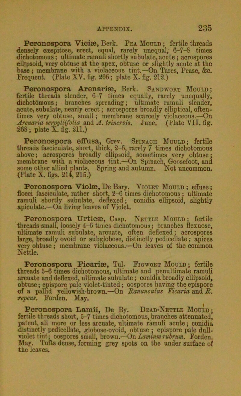 Peronospora Vicise, Berk. Pea Mottld ; fertile threads densely c*espitose, erect, equal, rarely unequal, 6-7-S times dichotomous; ultimate ramuli shortly subulate, acute ; acrospores ellipsoid, very obtuse at the apex, obtuse or slightly acute at the base ; membrane with a violaceous tint.—On Tares, Pease, &o. Prequent. (Plate XV. lig. 266; plate X. fig. 212.) Peronospora Arenariee, Berk. 8and-\vokt Mould; fertile threads slender, 6-7 times equally, rarely unequally, dichotomous; branches spreading; ultimate ramuli slender, acute, subulate, nearly erect; acrospores broadly elliptical, often- times very obtuse, small; membrane scarcely violaceous.—On Arenaria serpyllifolia and A. tritiervis. June. (Plate Vlf. fig. 268; plate X. fig. 211.) Peronospora efifnsa, Grev. Spinach Mould; fertile threads fasciculate, short, thick. 2-6, rarely 7 times dichotomous above; acrospores broadly ellipsoid, sometimes very obtuse: membrane with a violaceous lint.—On Spinach, Goosefoot, ana some other allied plants. Spring and autumn. Kot uncommon. {Plate X. figs. 214, 216.) Peronospora Violse, DeBary. Violet Mould; effuse; flocci fasciculate, rather short, 2-6 times dichotomous; ultimate ramuli shortly subulate, deflexed; conidia ellipsoid, slightly apiculate.—On living leaves of Violet. Peronospora ITrticse, Gasp. Nettle Mould: fertile threads small, loosely 4-6 times dichotomous; branches ilexuose, ultimate ramuli subulate, arcuate, often deflexed: acrospores large, broadly ovoid or subglobose, distinctly pedicellate ; apices very obtuse; membrane violaceous.—On leaves of the common Nettle. Peronospora Picarise, Tul. riGwonT Mould; fertile threads 5-6 times dichotomous, ultimate and penultimate ramuli arcuate and deflexed, ultimate subulate; conidia broadly ellipsoid, obtuse; epispore pale violet-tinted; oospores having the epispore of a pallid yellowish-brown.—On Kanunculus Ficaria ana R. repens. Fordfen. May. Peronospora Lamii, Be By. Dead-Nettle Mould; fertile threads short, 5-7 times dichotomous, branches attenuated, Satent, all more or less arcuate, ultimate ramuli acute; conidia jstinctly pedicellate, globose-ovoid, obtuse j epispore pale dull- violet tint; oospores small, brown.-^n Ztfwwanj TKorKOT. Forden. May. Tufts dense, forming grey spots on the under surface of the leaves.